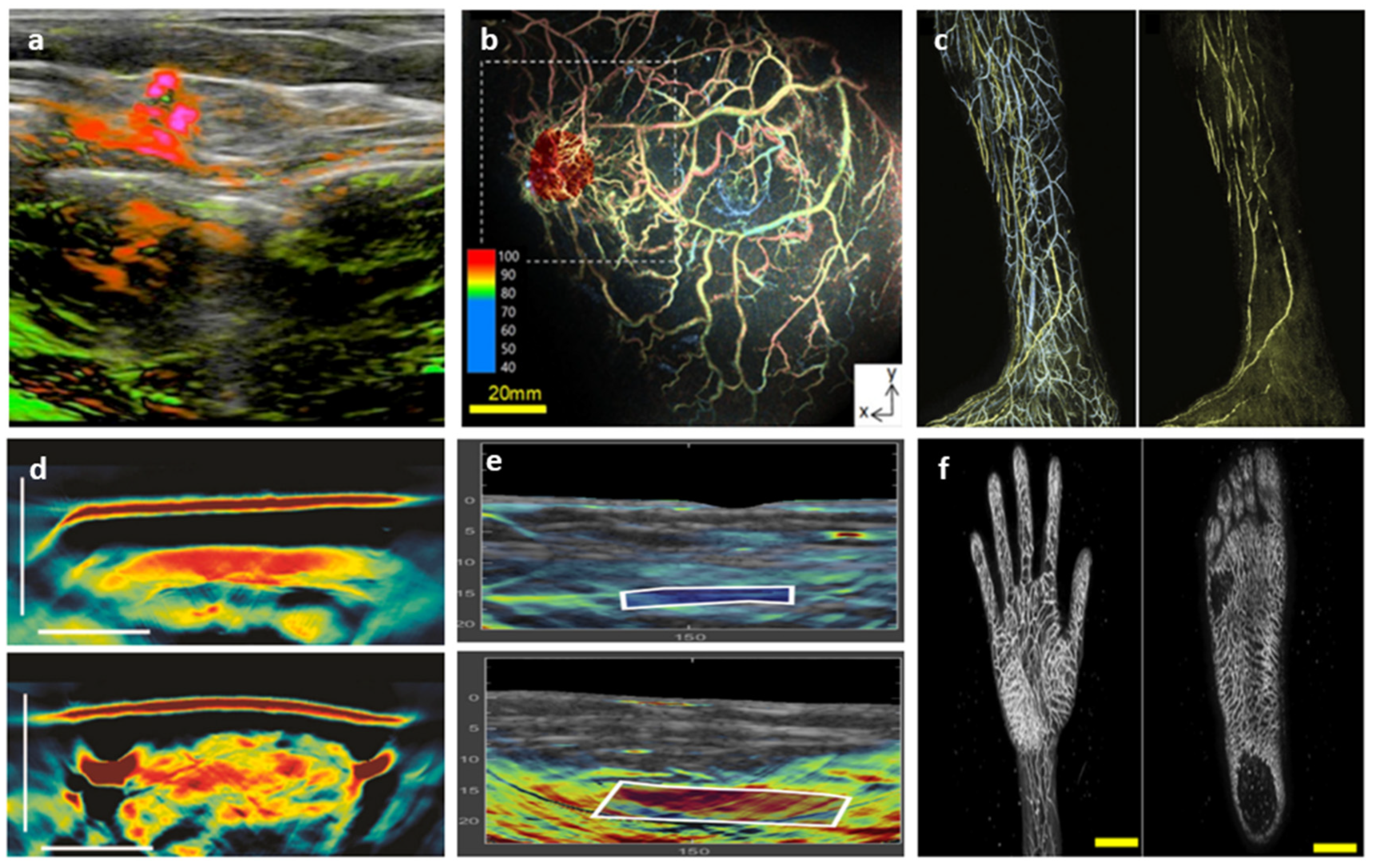 Preprints 104175 g003