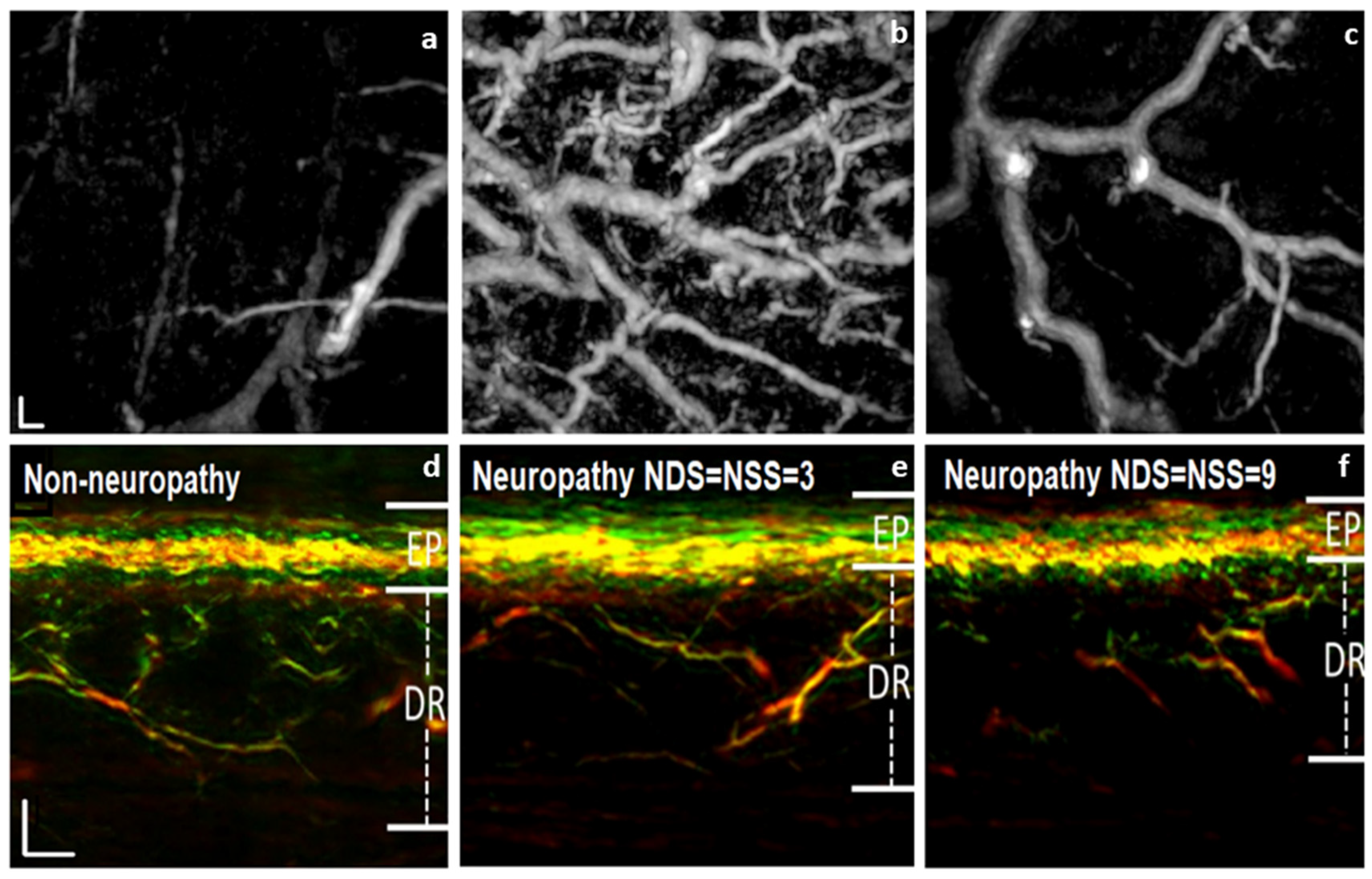 Preprints 104175 g004