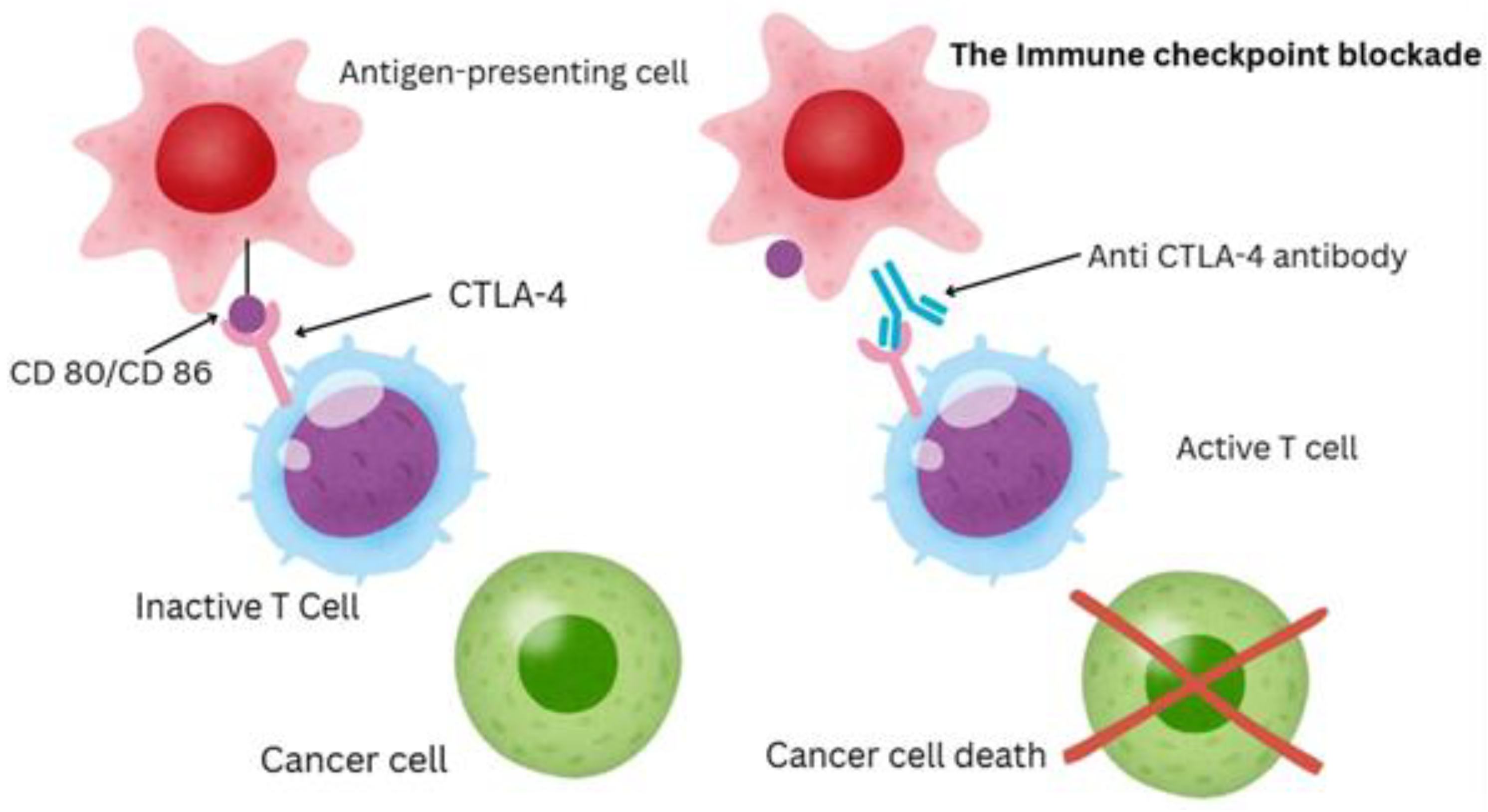 Preprints 192725 g001