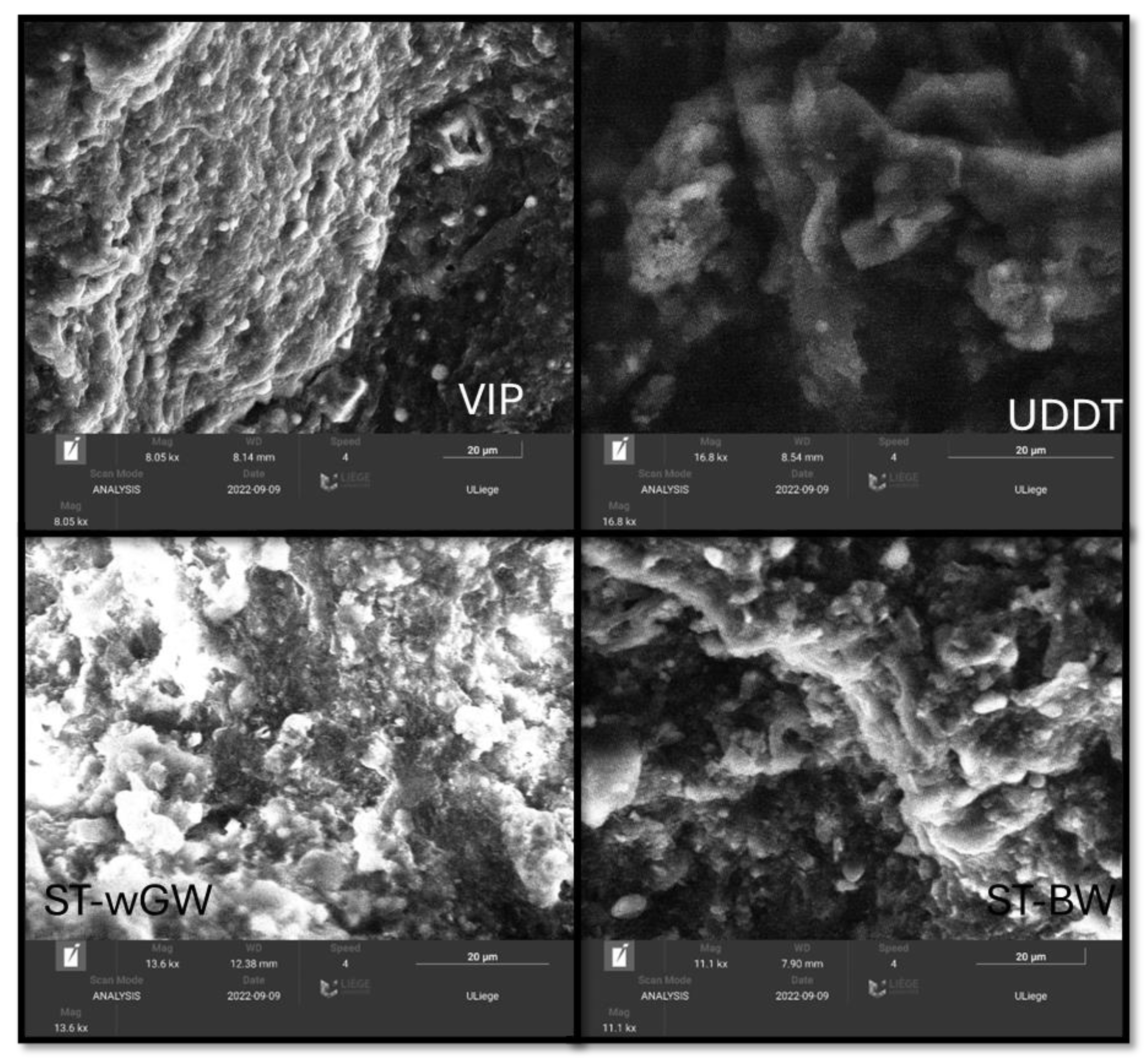 Preprints 138186 g011