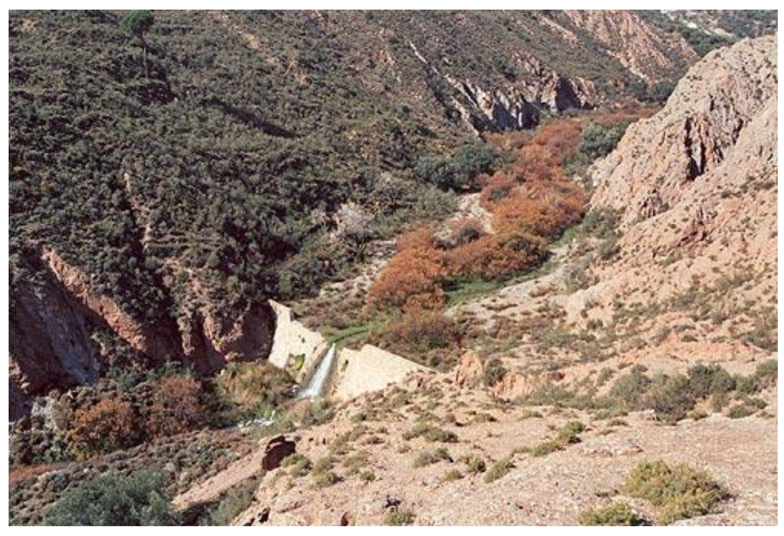 Preprints 77787 g001