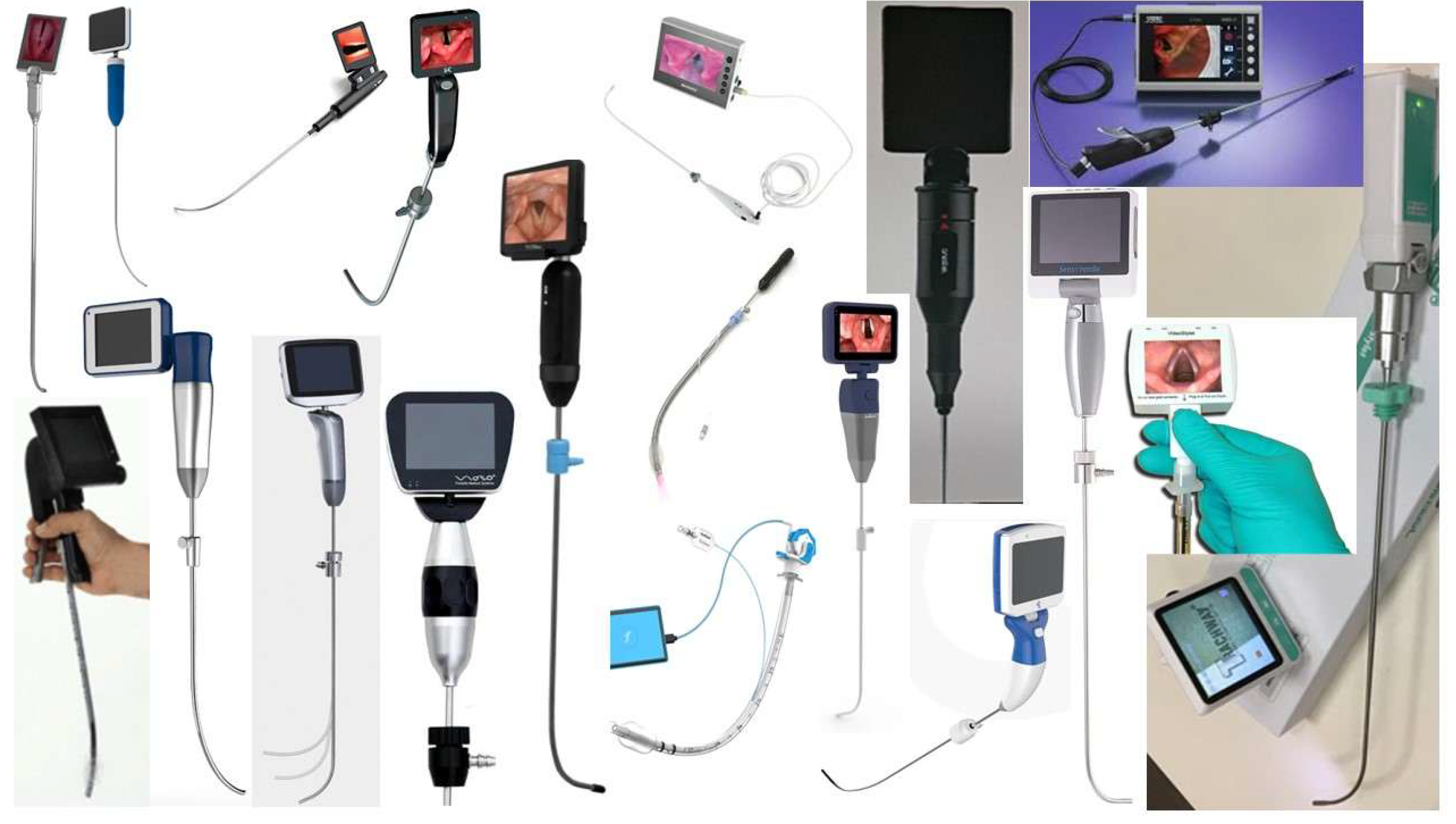 Preprints 171526 g001