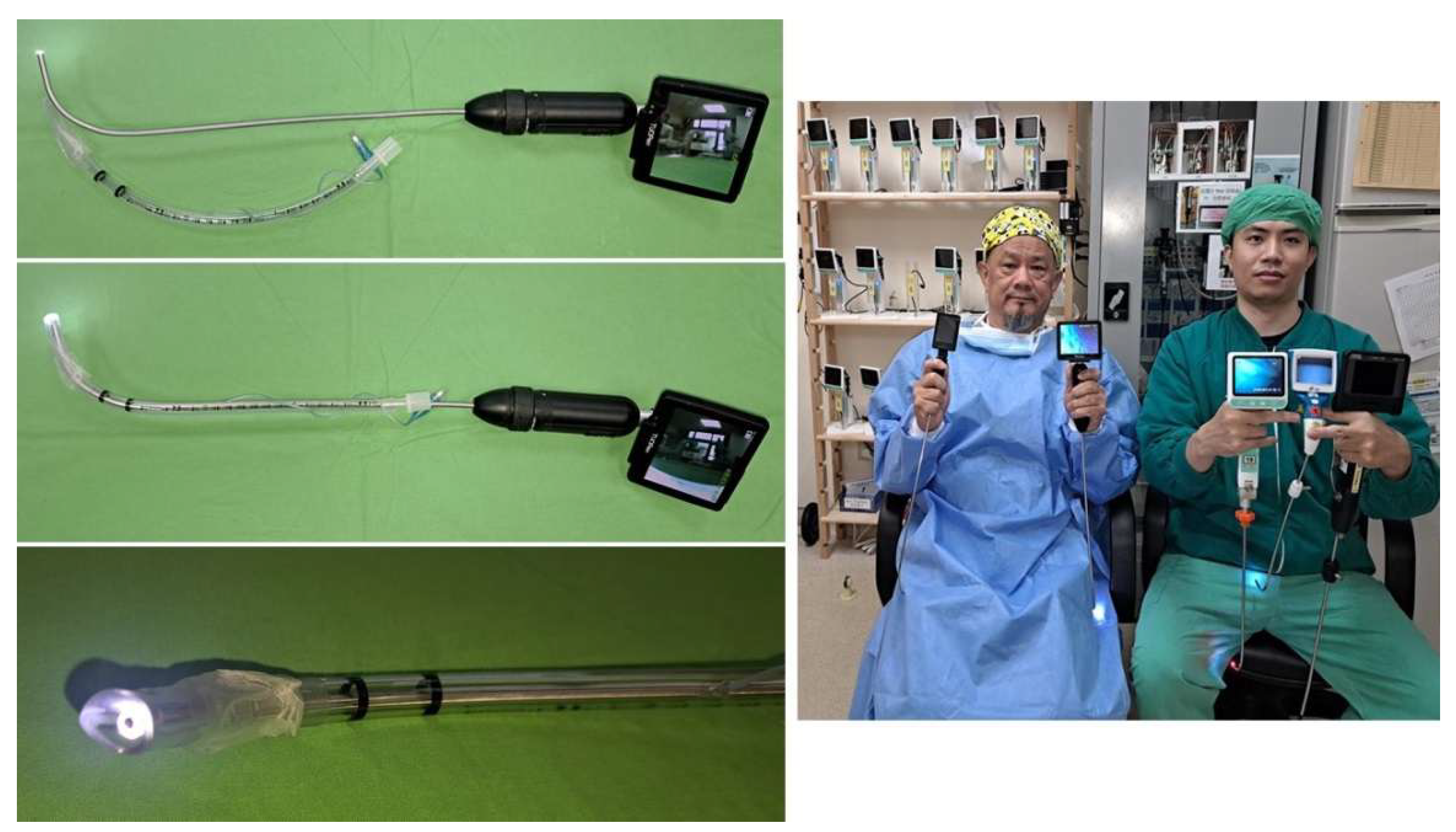 Preprints 171526 g002