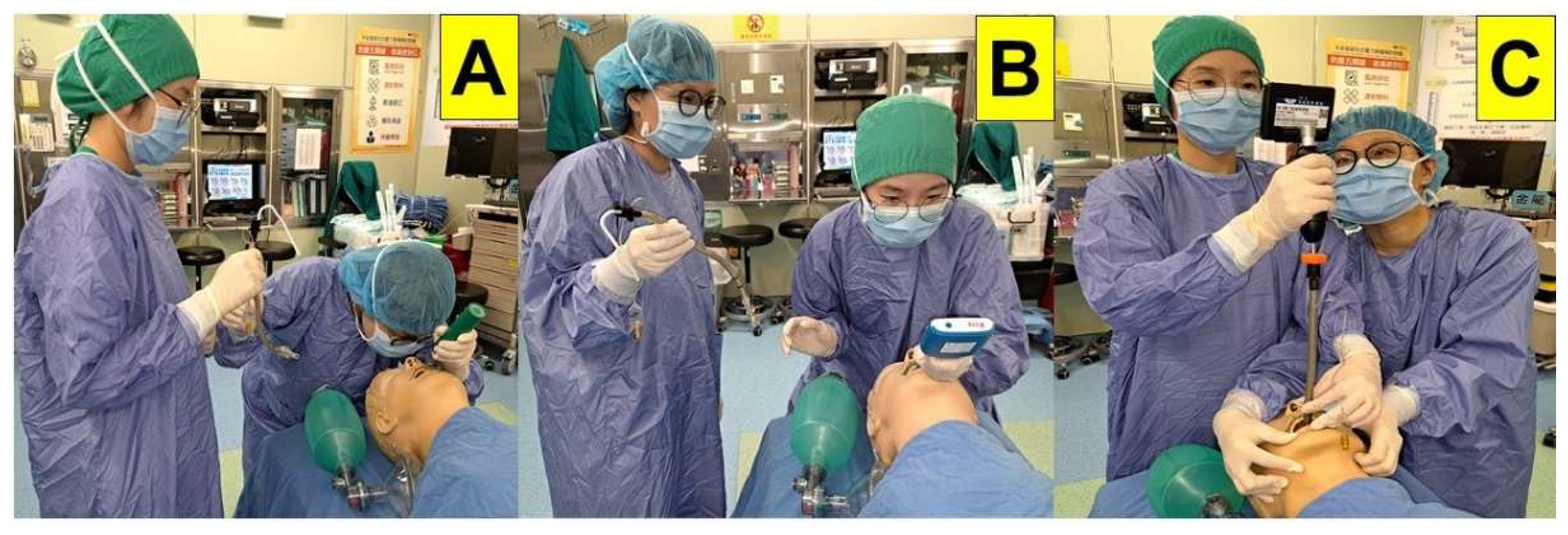 Preprints 171526 g003