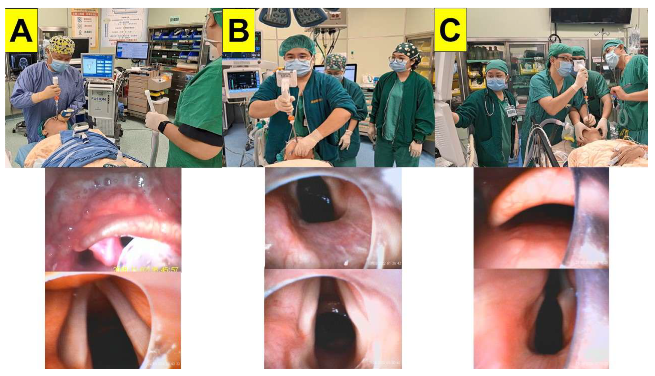 Preprints 171526 g005