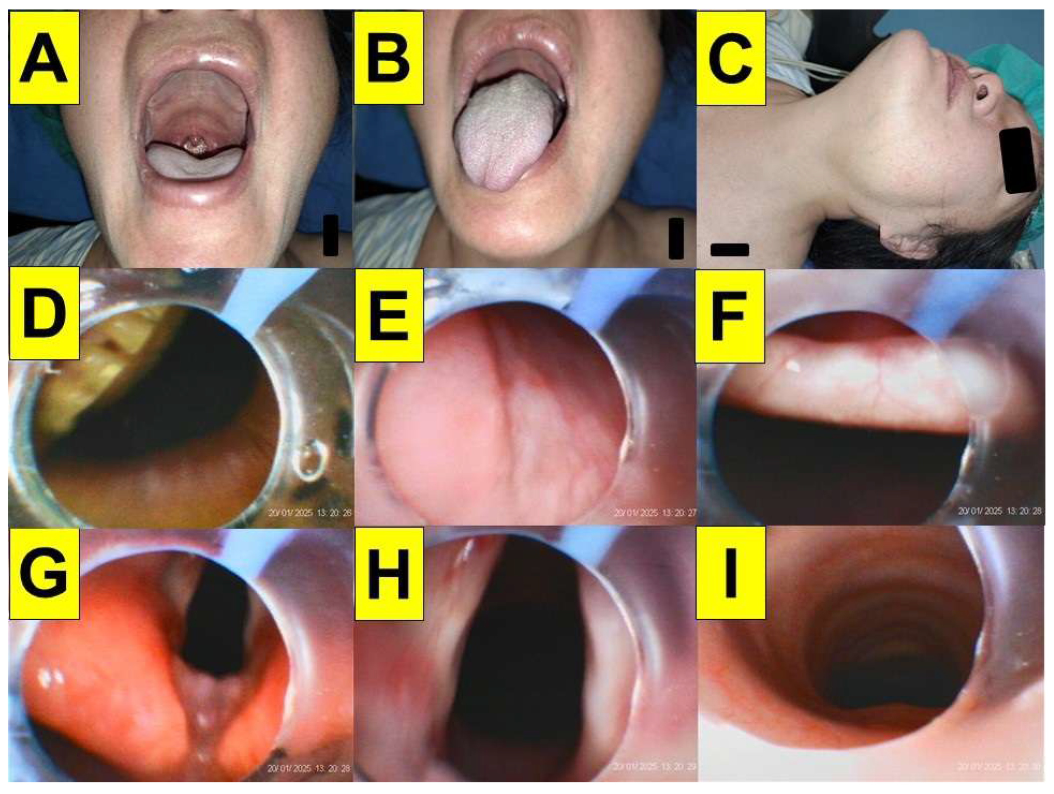 Preprints 171526 g007