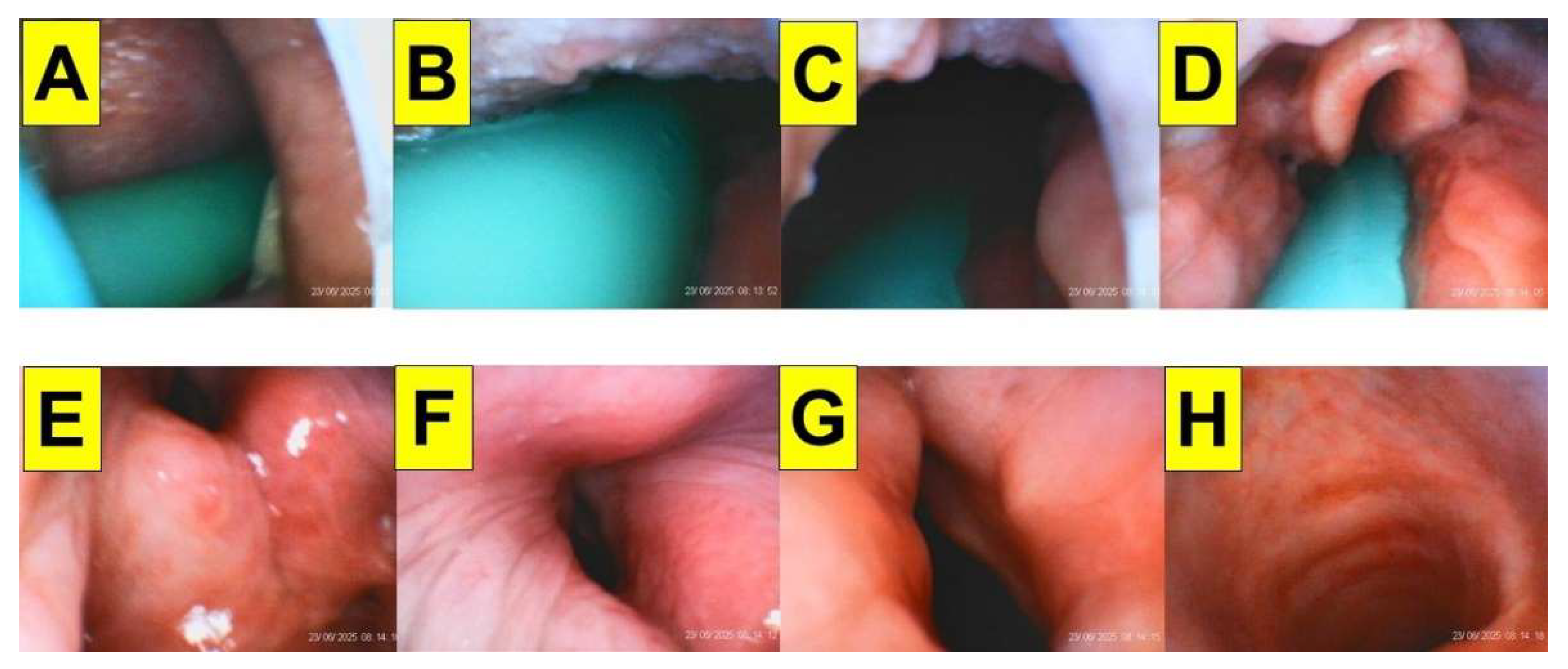 Preprints 171526 g009