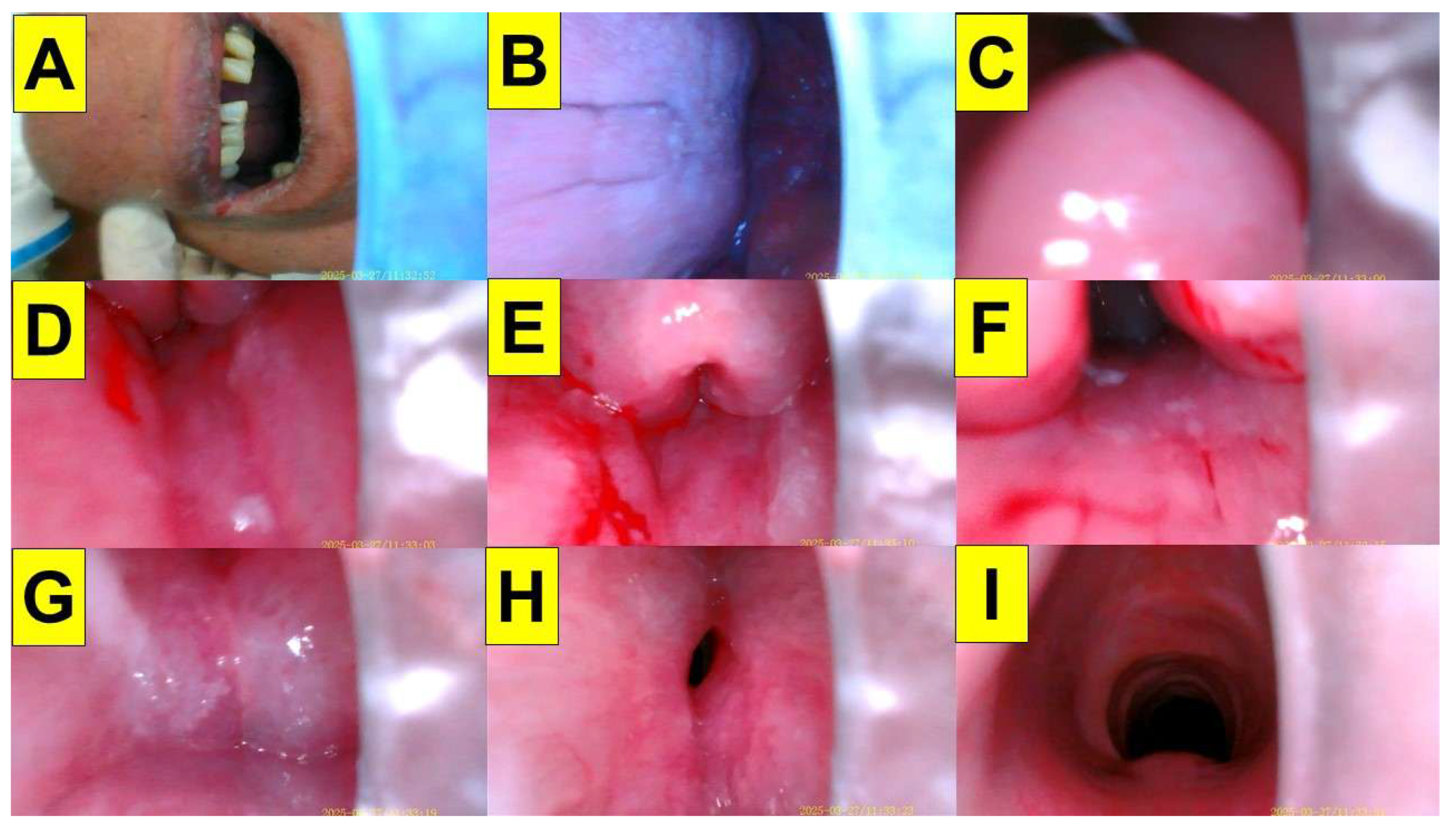 Preprints 171526 g010