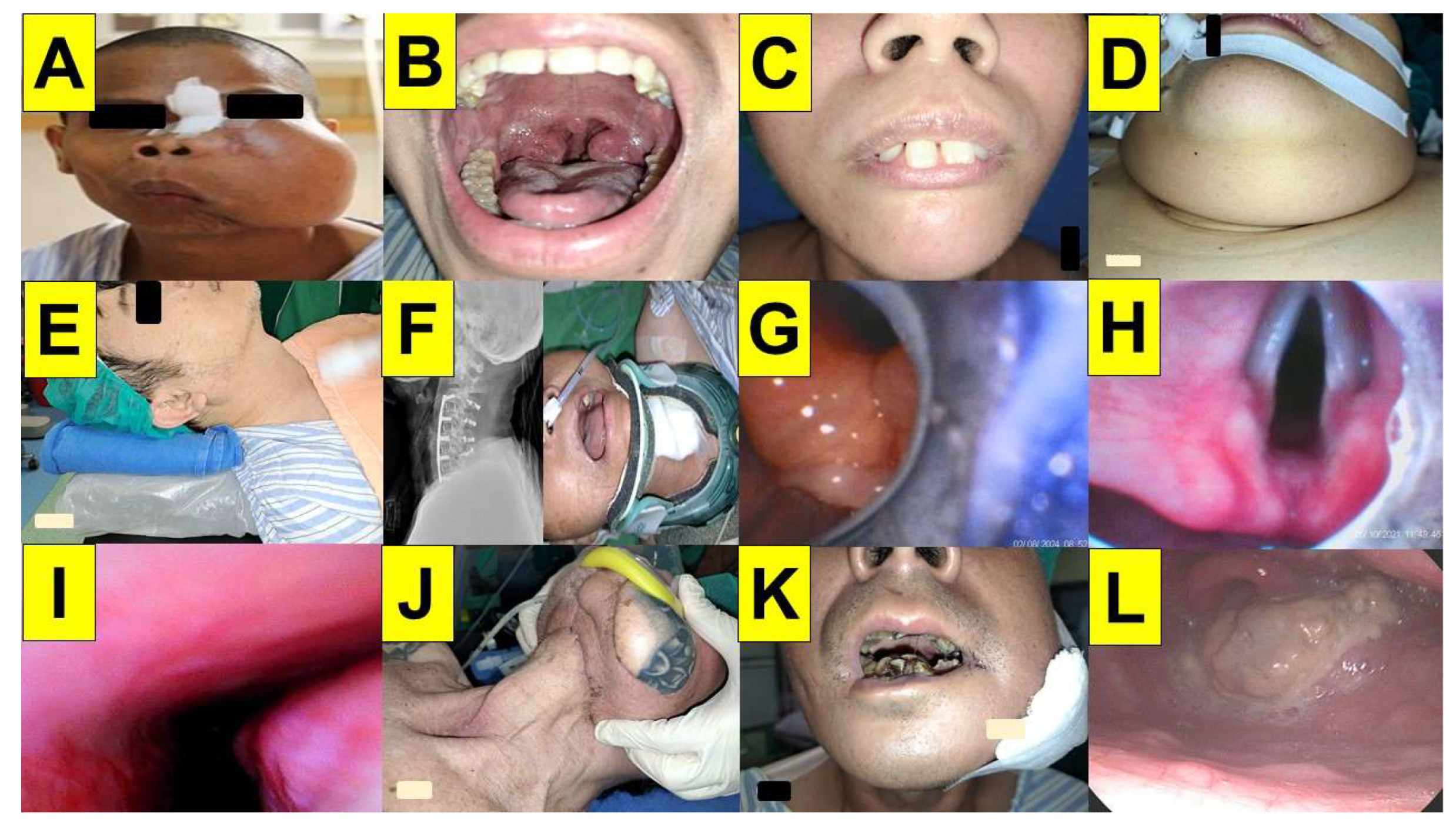 Preprints 171526 g011