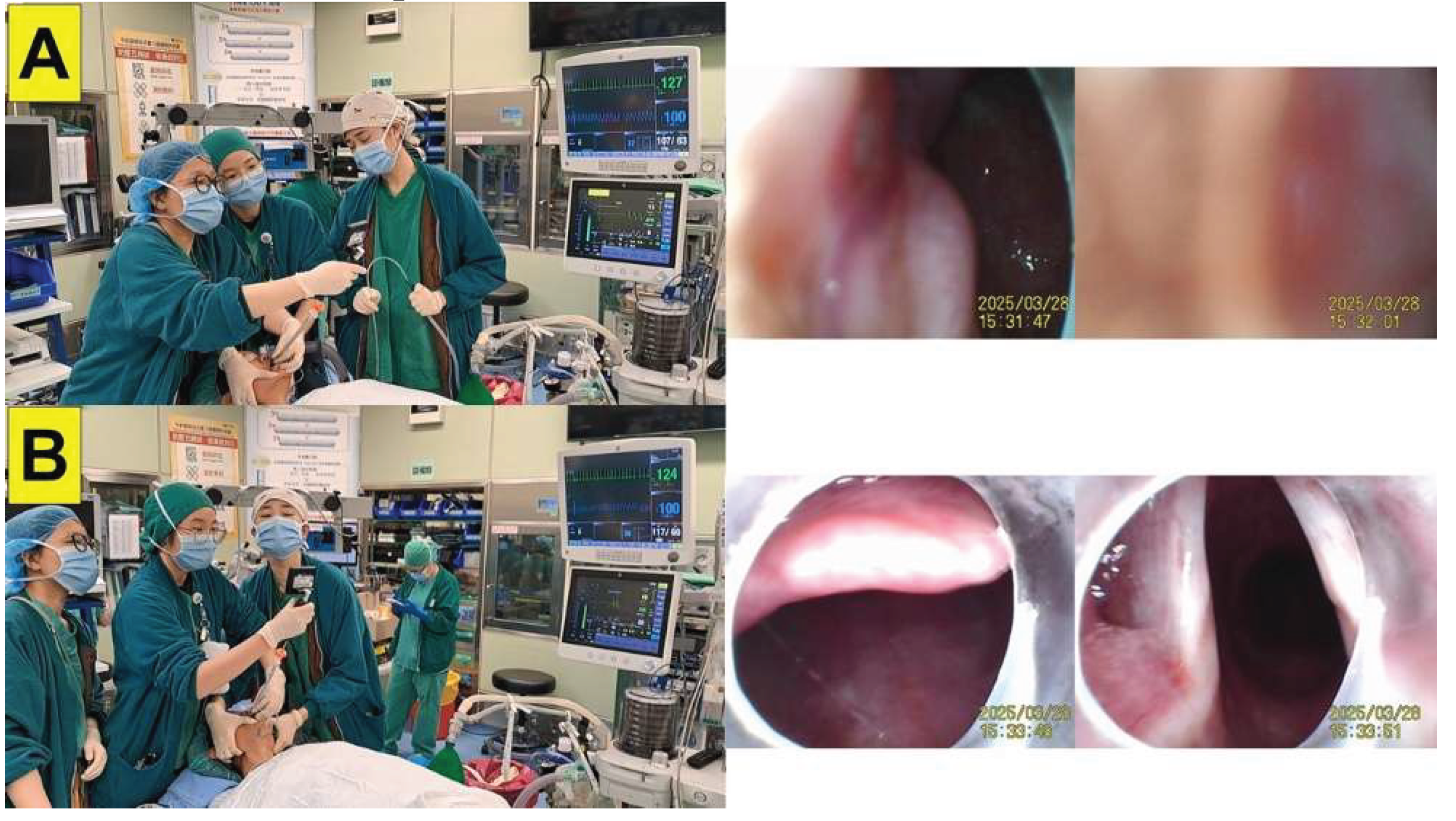 Preprints 171526 g012