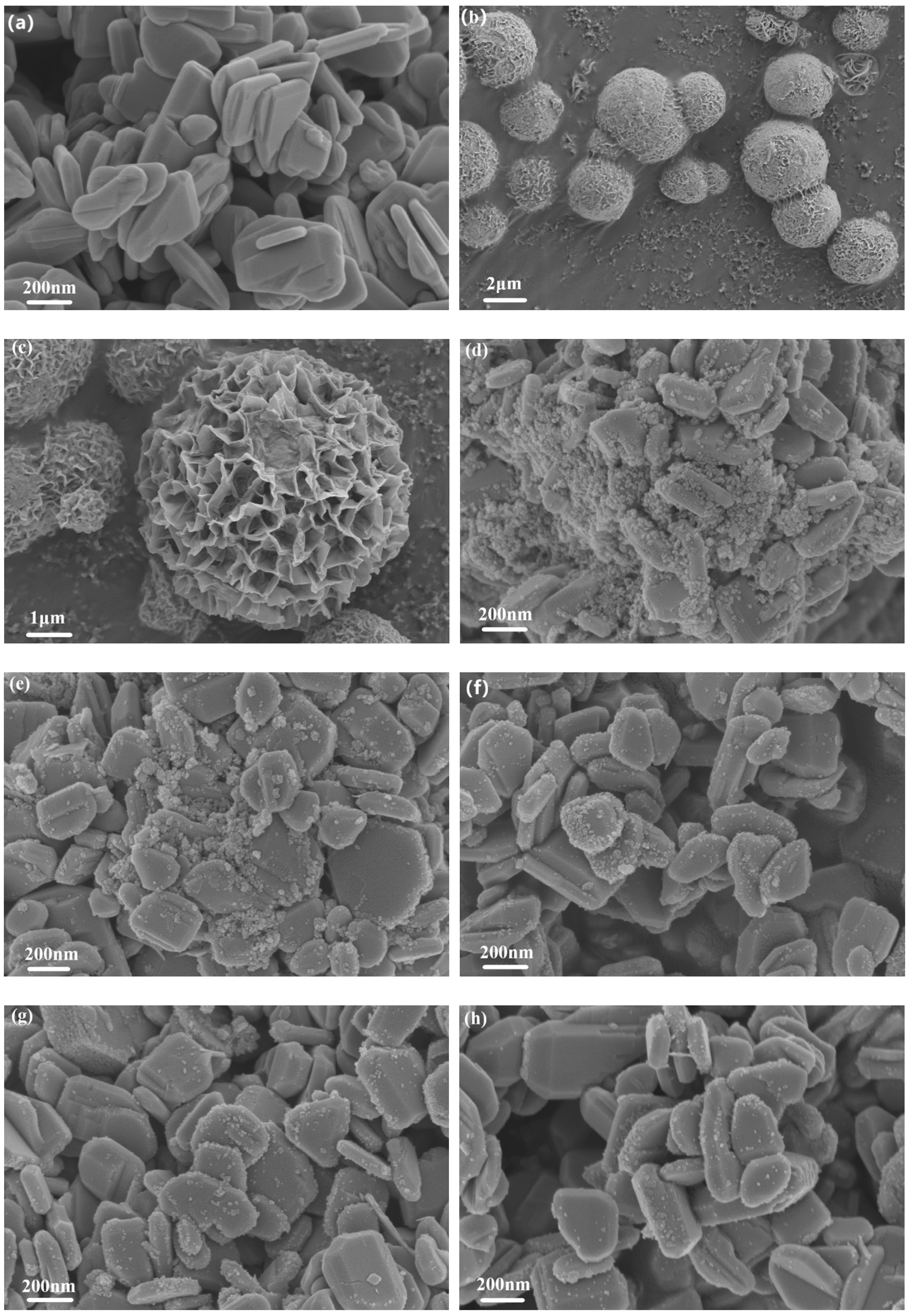 Preprints 83064 g003
