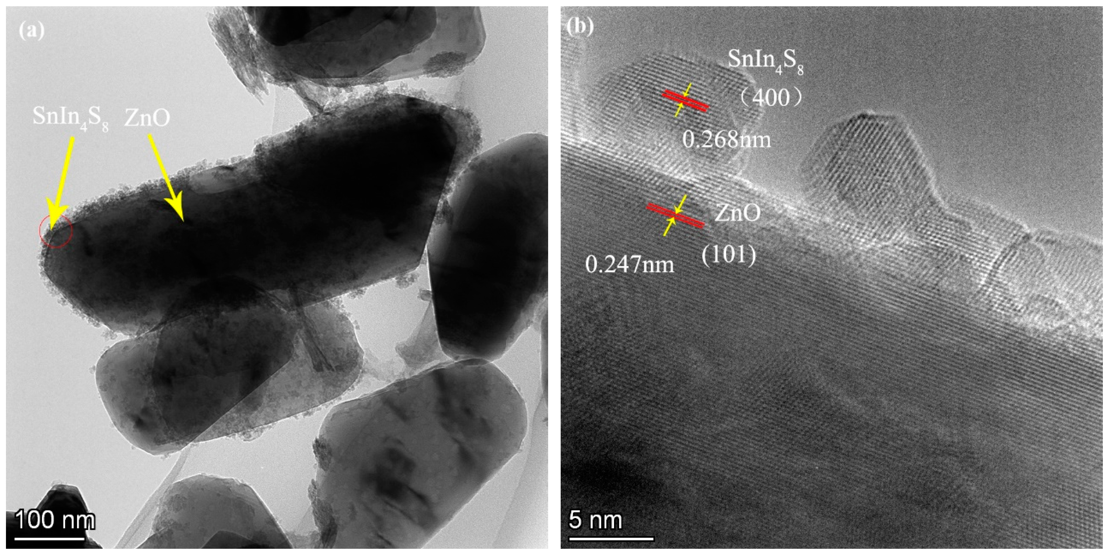 Preprints 83064 g005