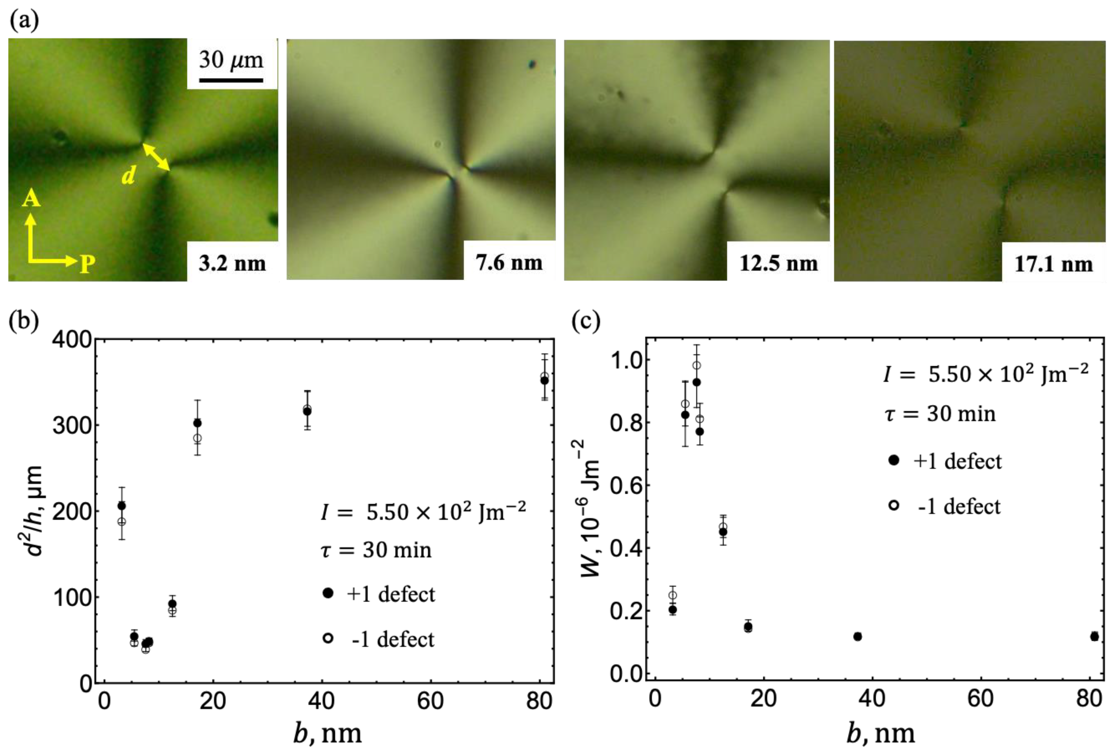 Preprints 140339 g003