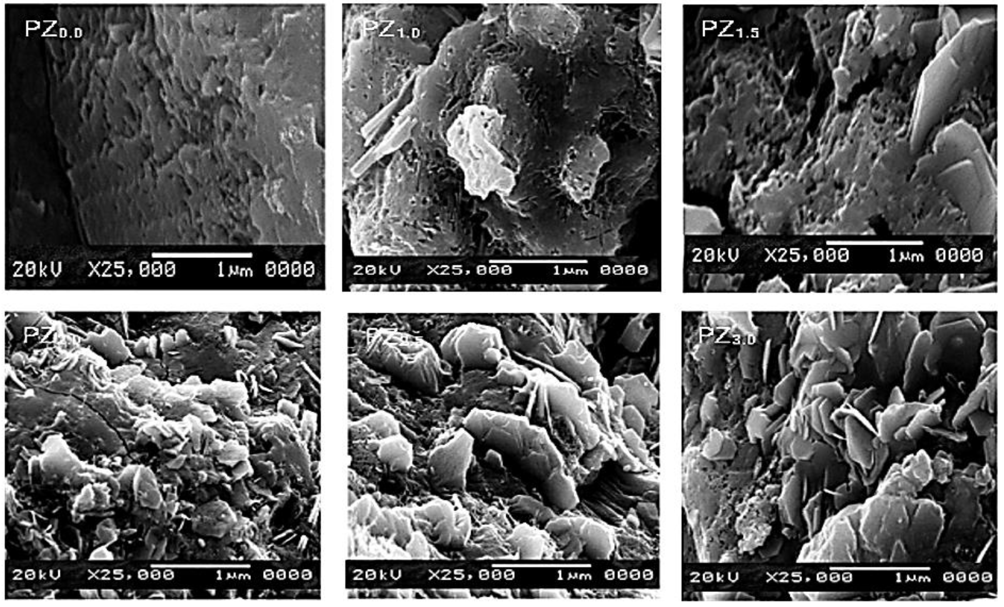 Preprints 149847 g004