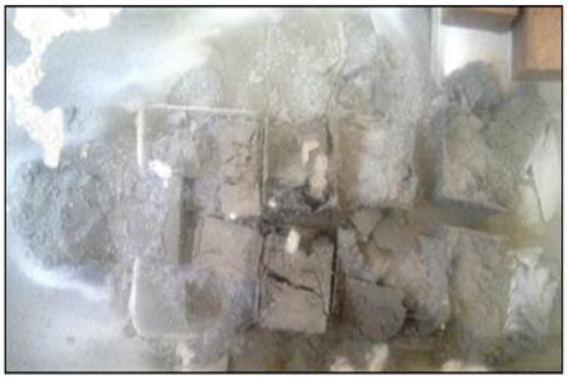 Preprints 149847 g006