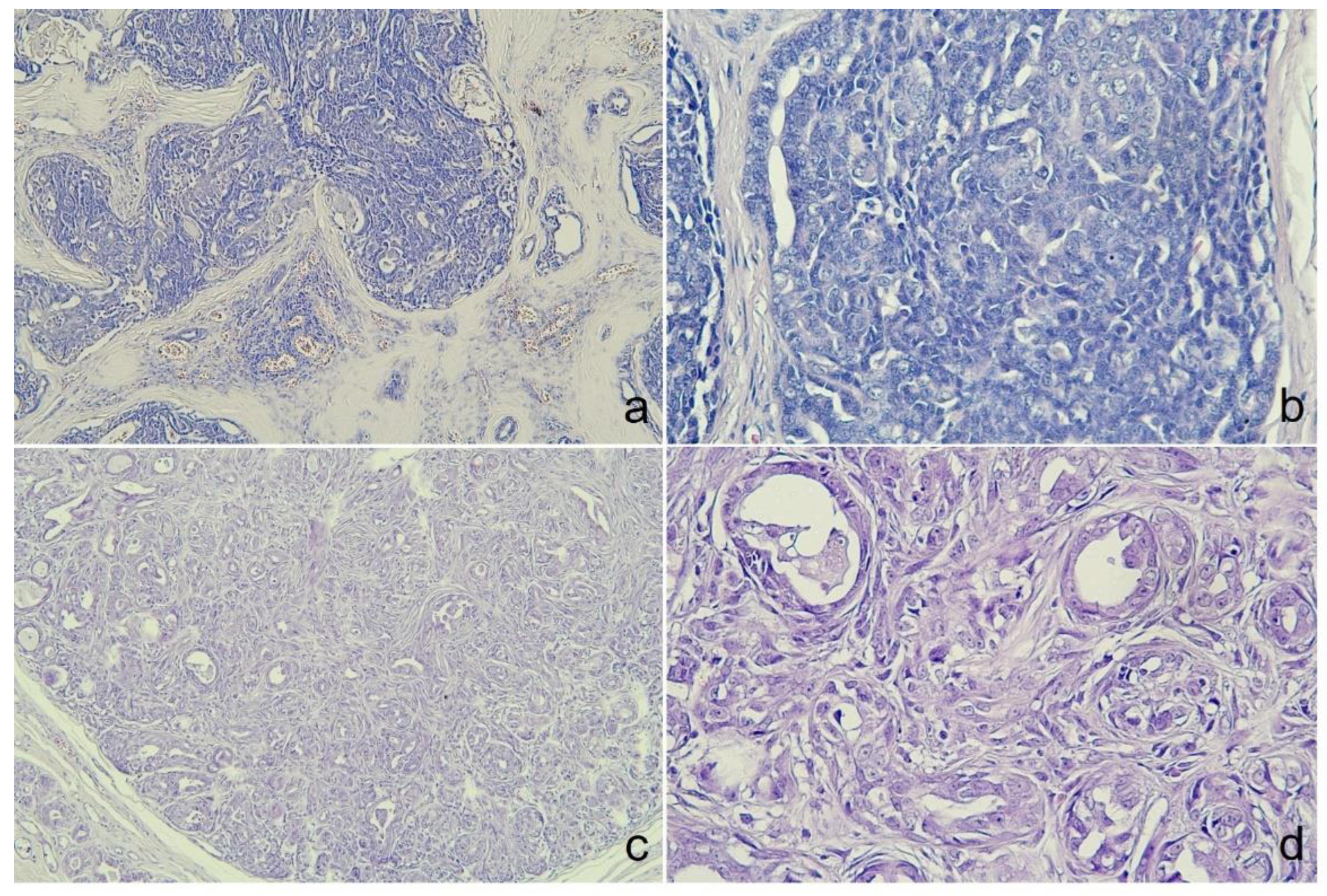 Preprints 137470 g002