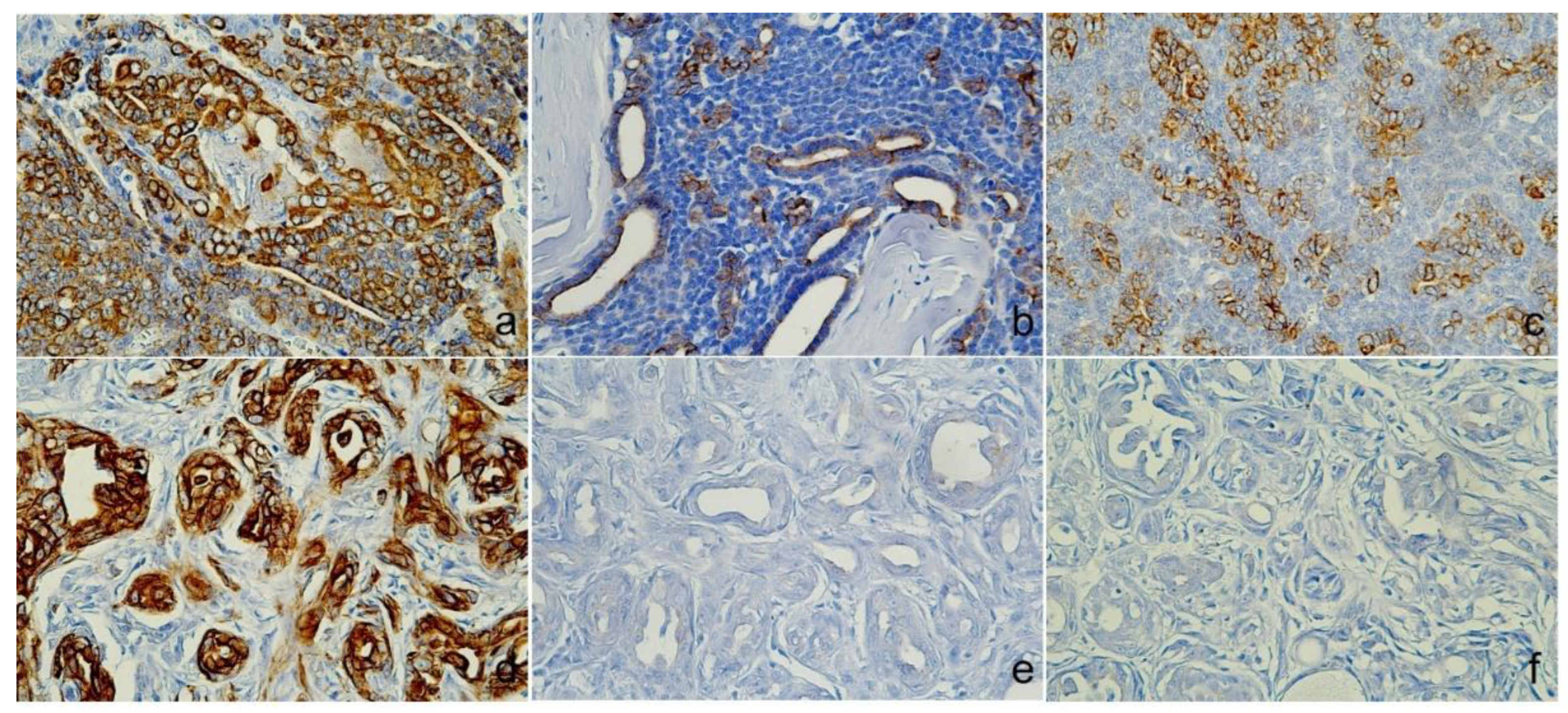 Preprints 137470 g003