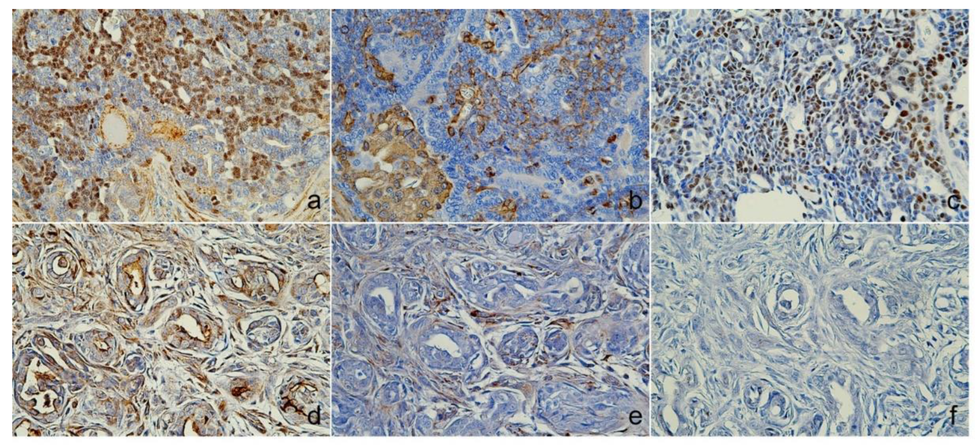 Preprints 137470 g004