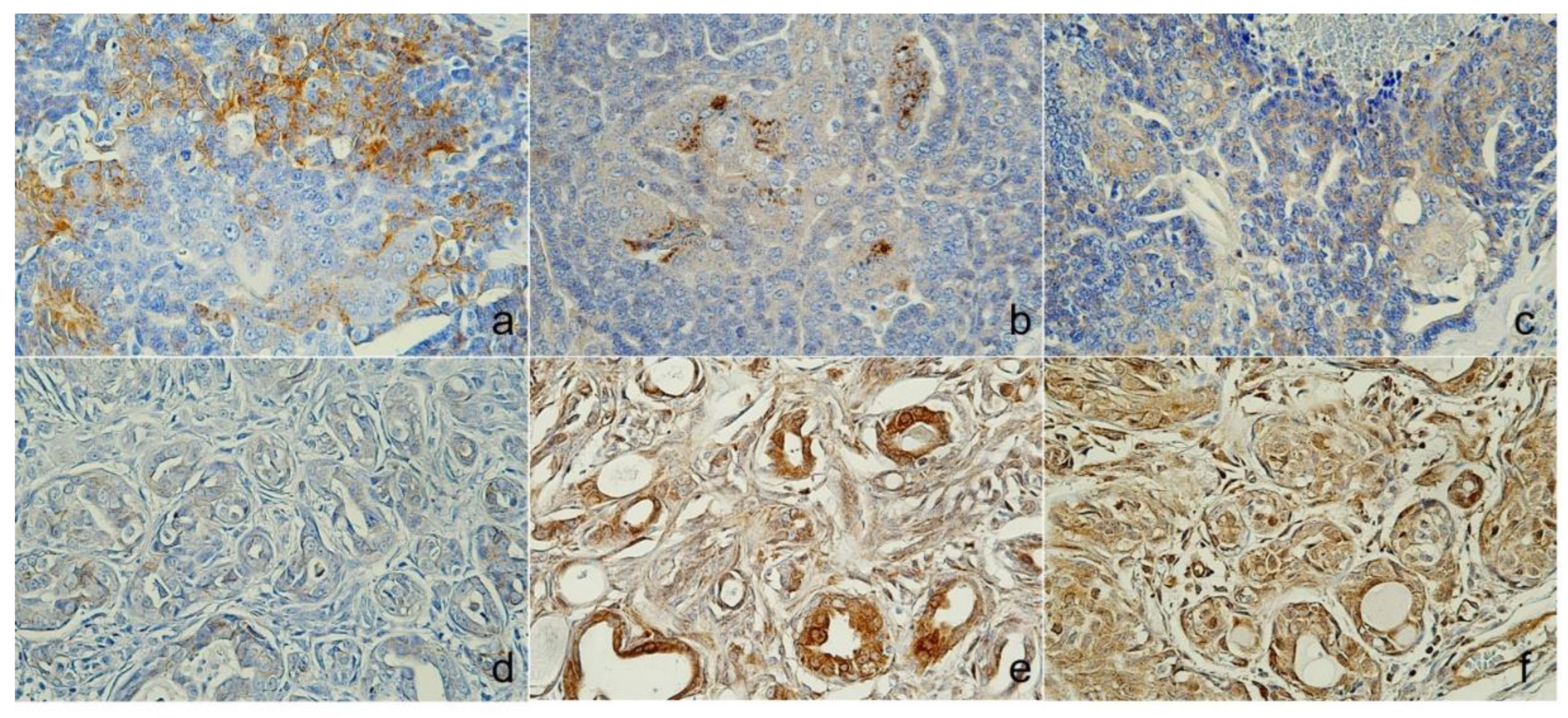 Preprints 137470 g005