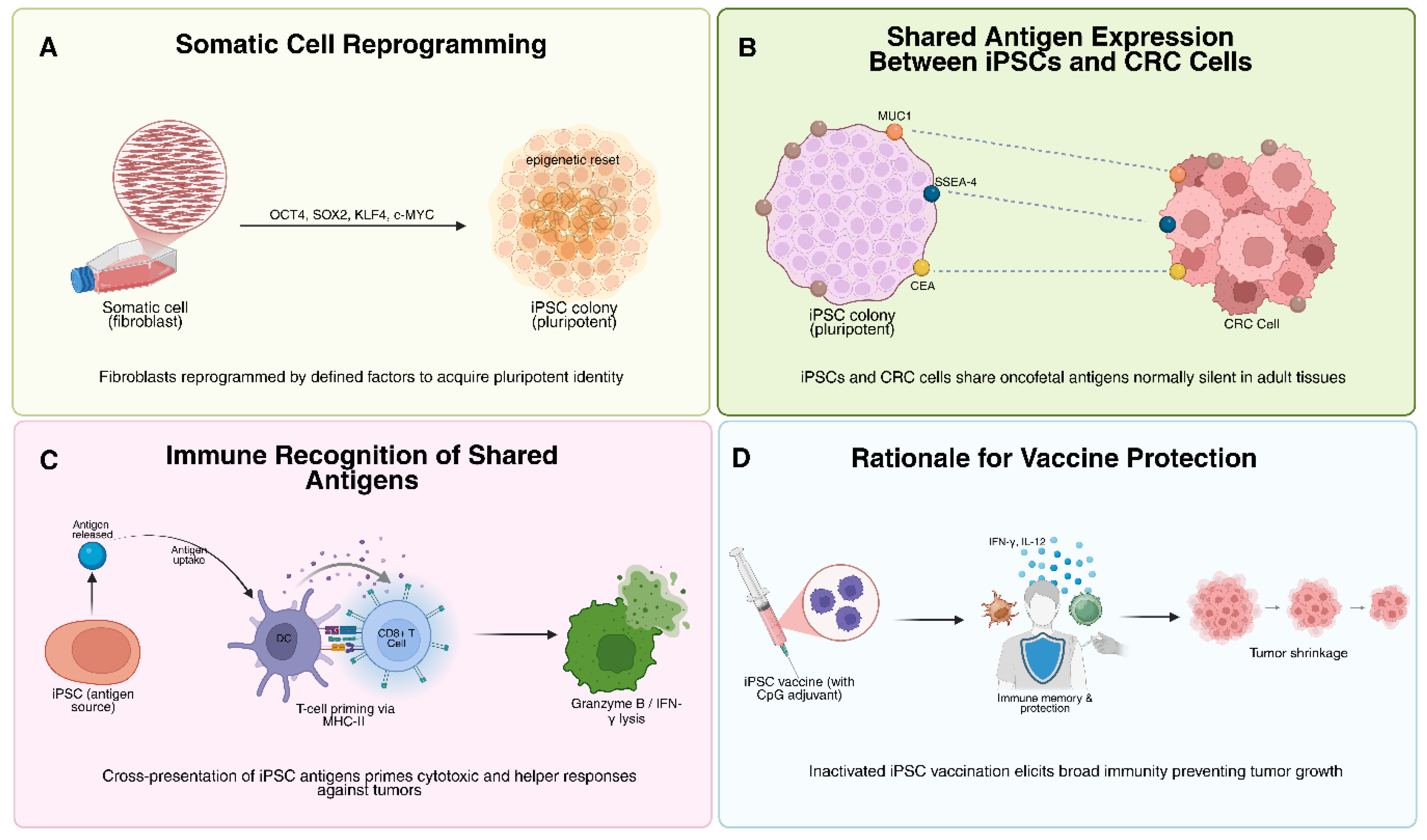 Preprints 186520 g001