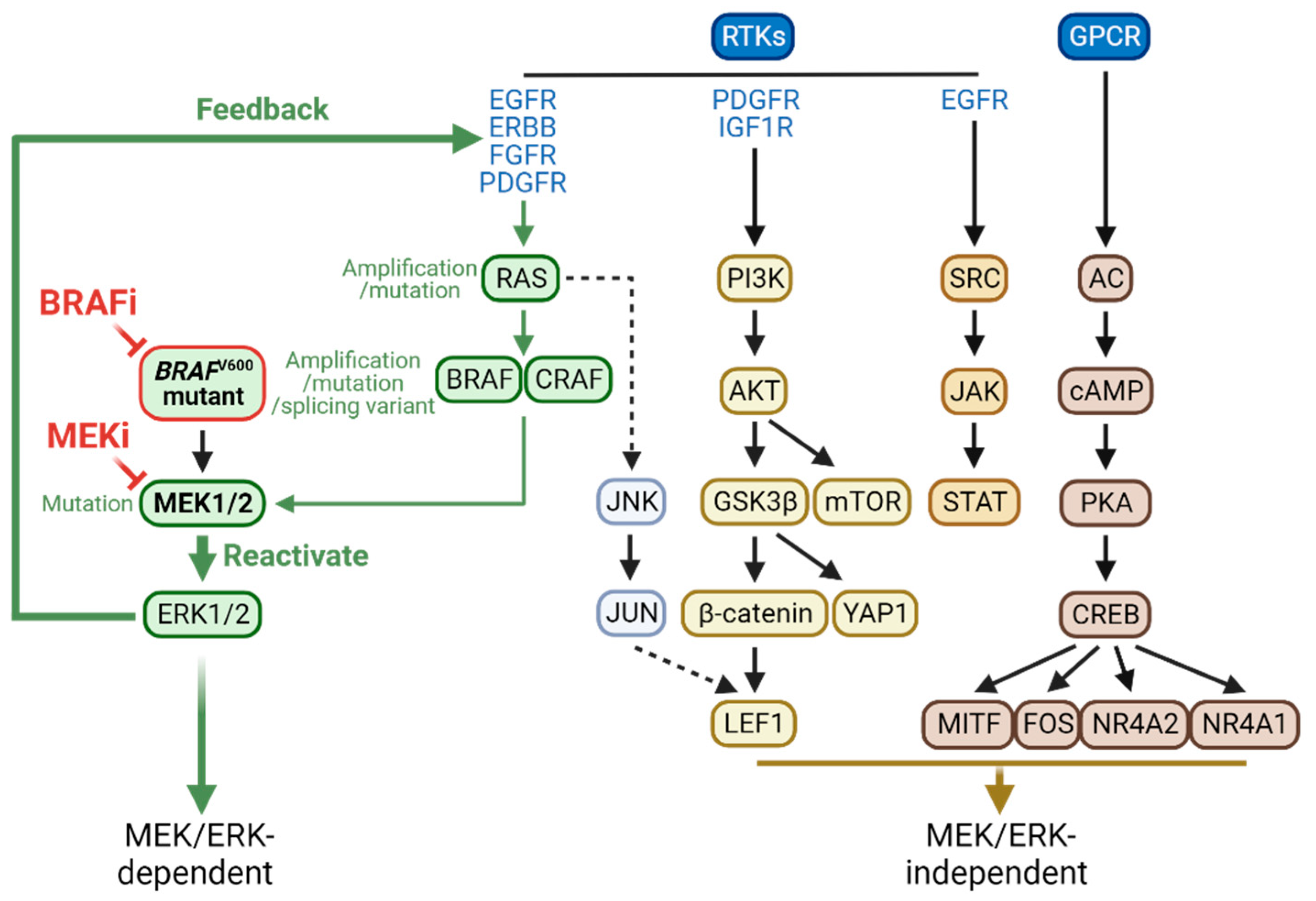 Preprints 84060 g002