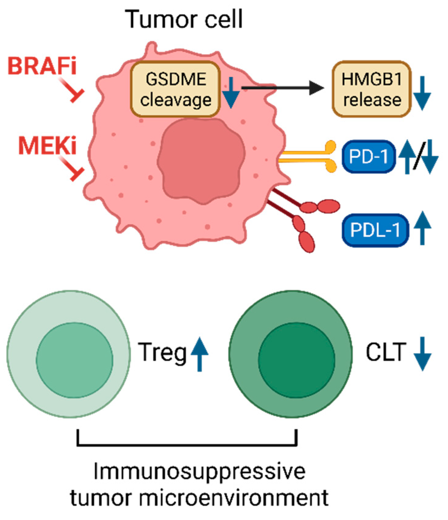 Preprints 84060 g003