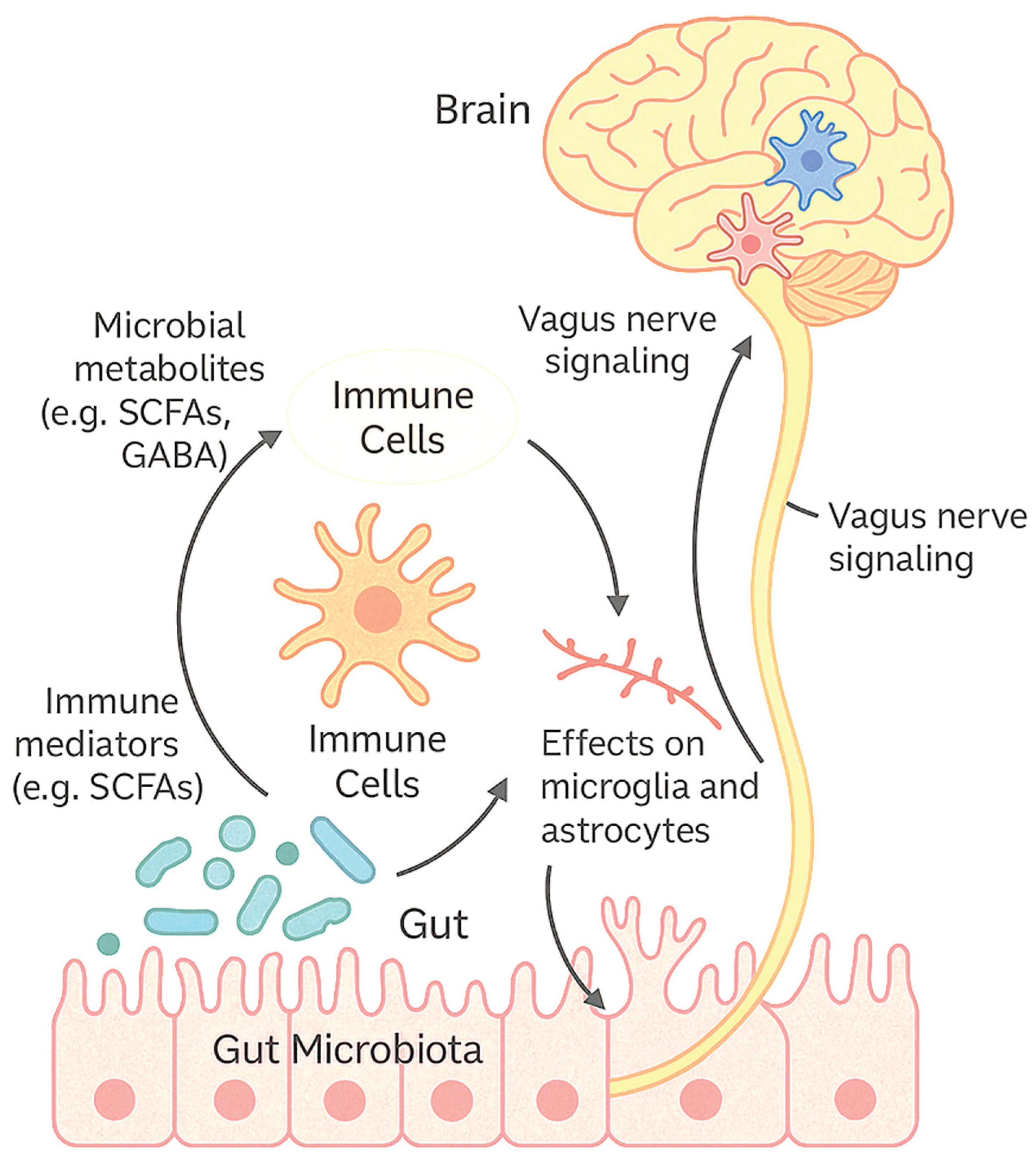 Preprints 159967 g001