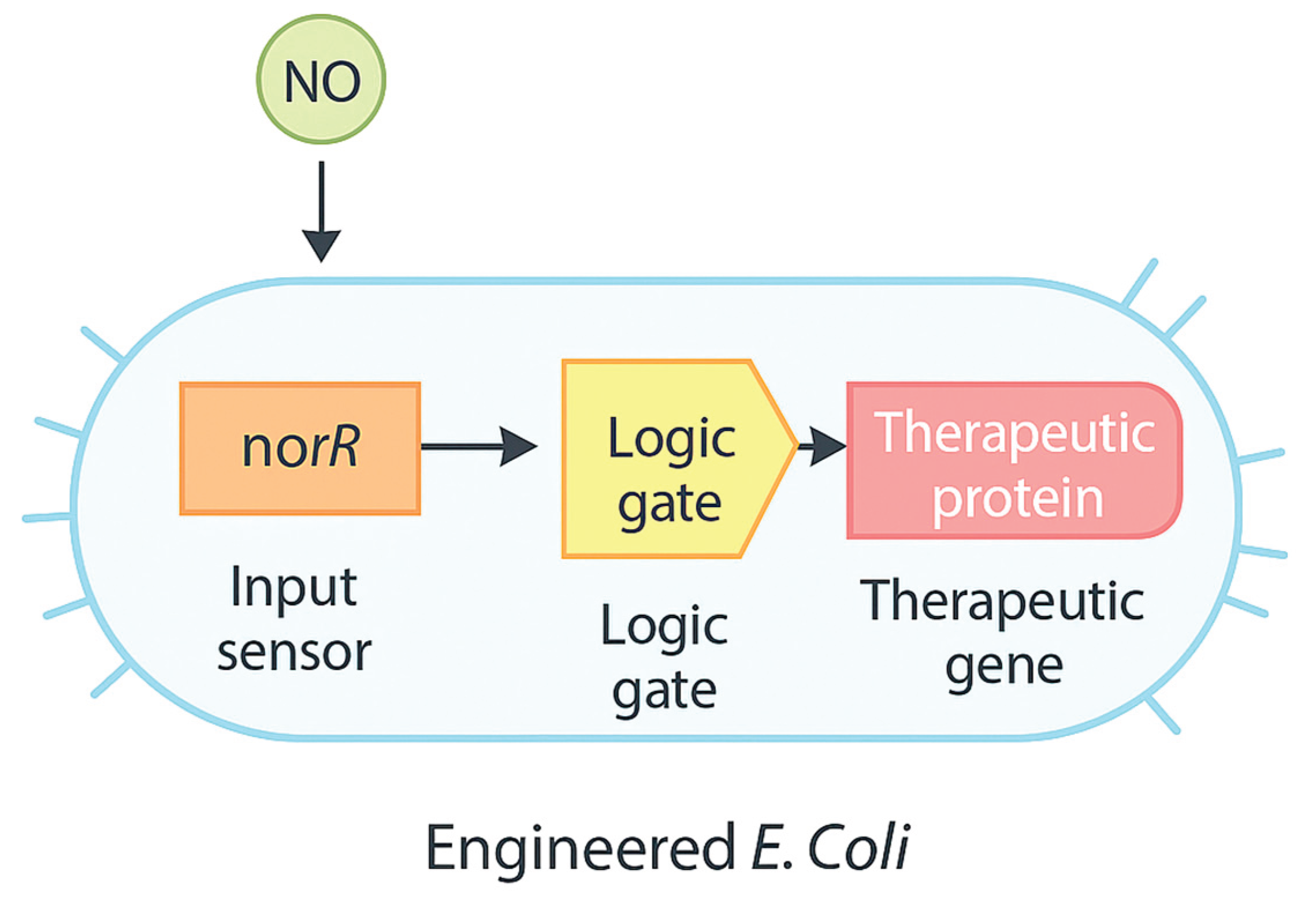 Preprints 159967 g003