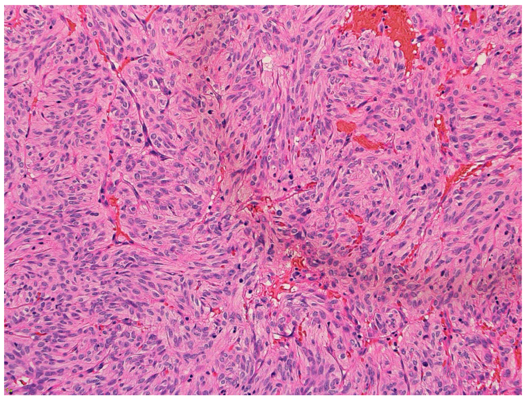 Preprints 144871 g003