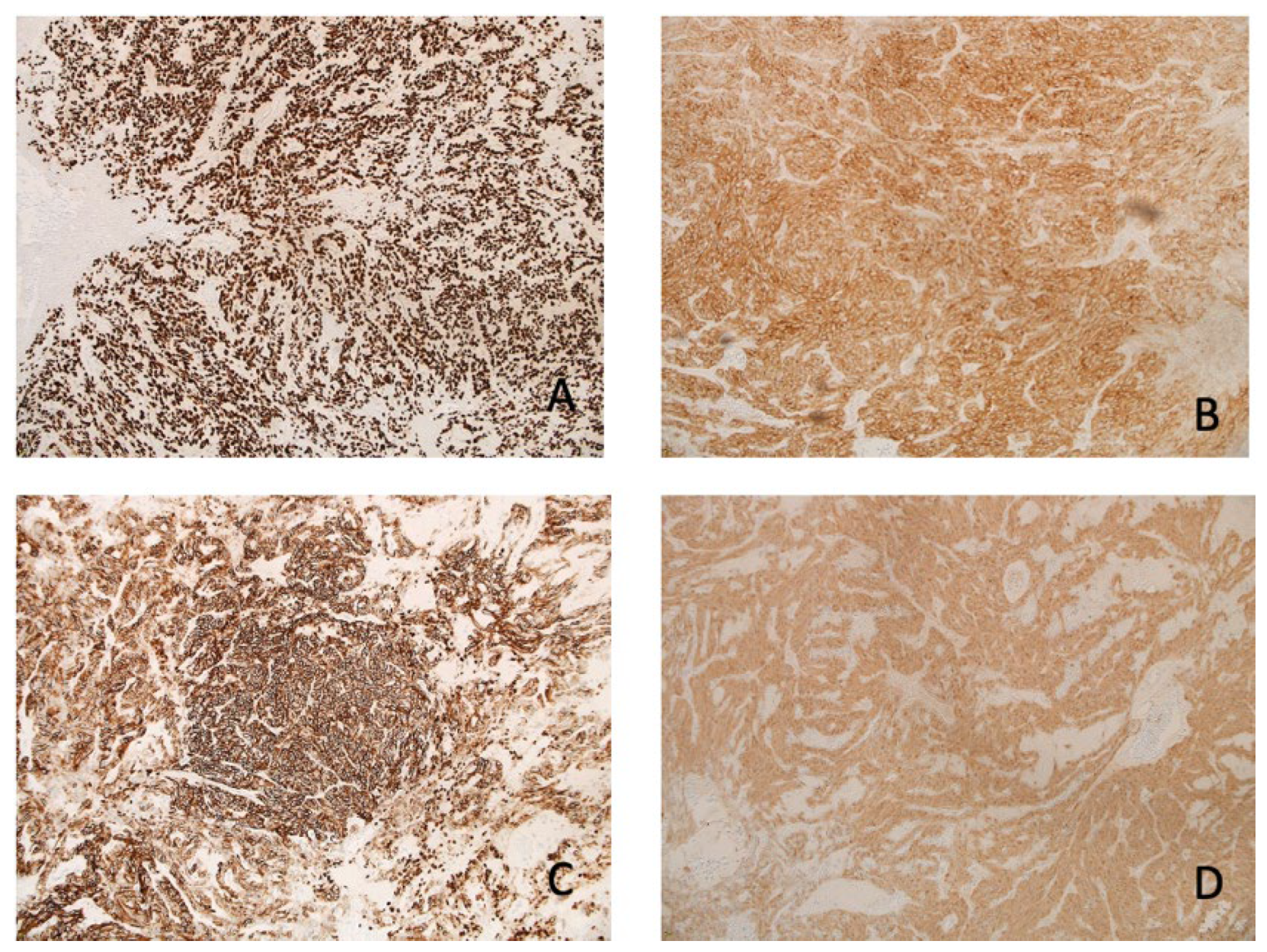 Preprints 144871 g004