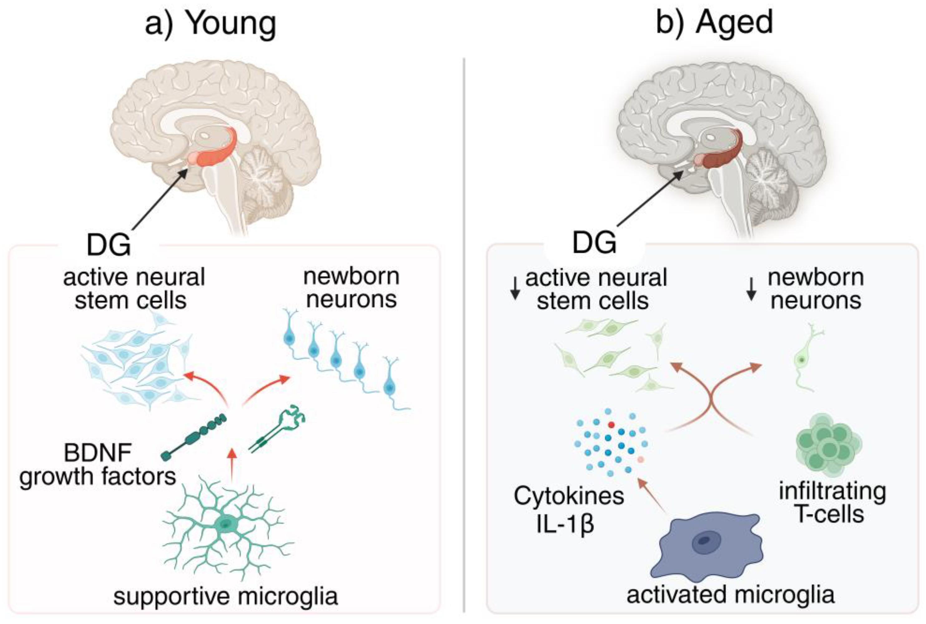 Preprints 188285 g001