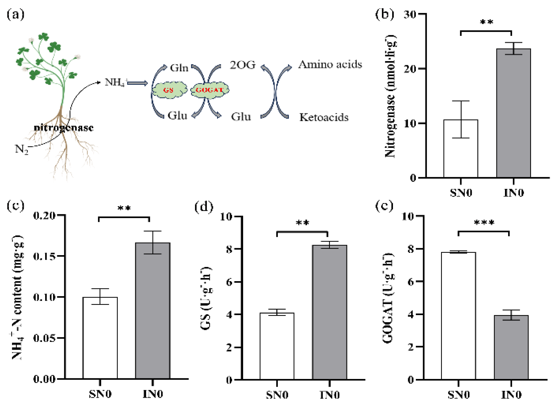 Preprints 151160 g002
