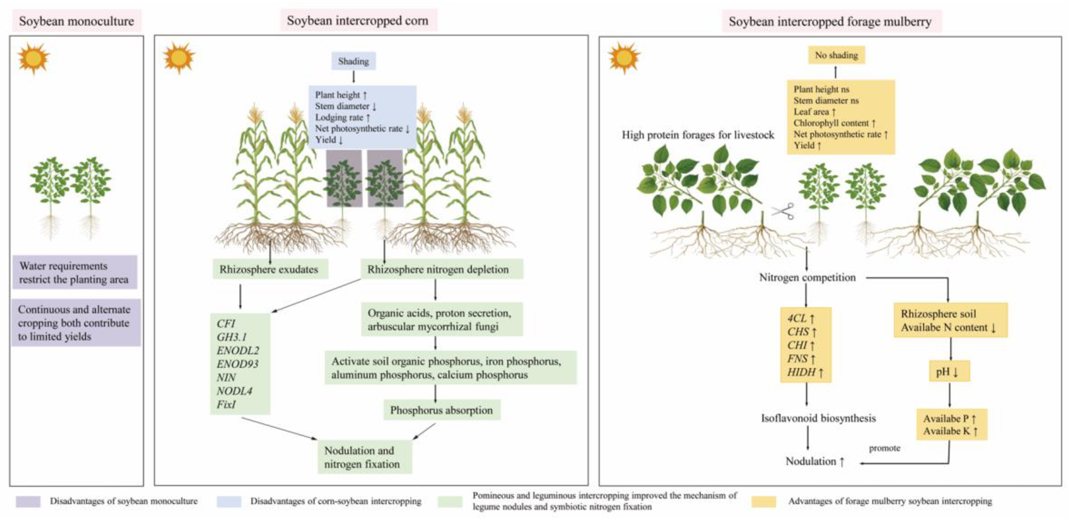 Preprints 151160 g007