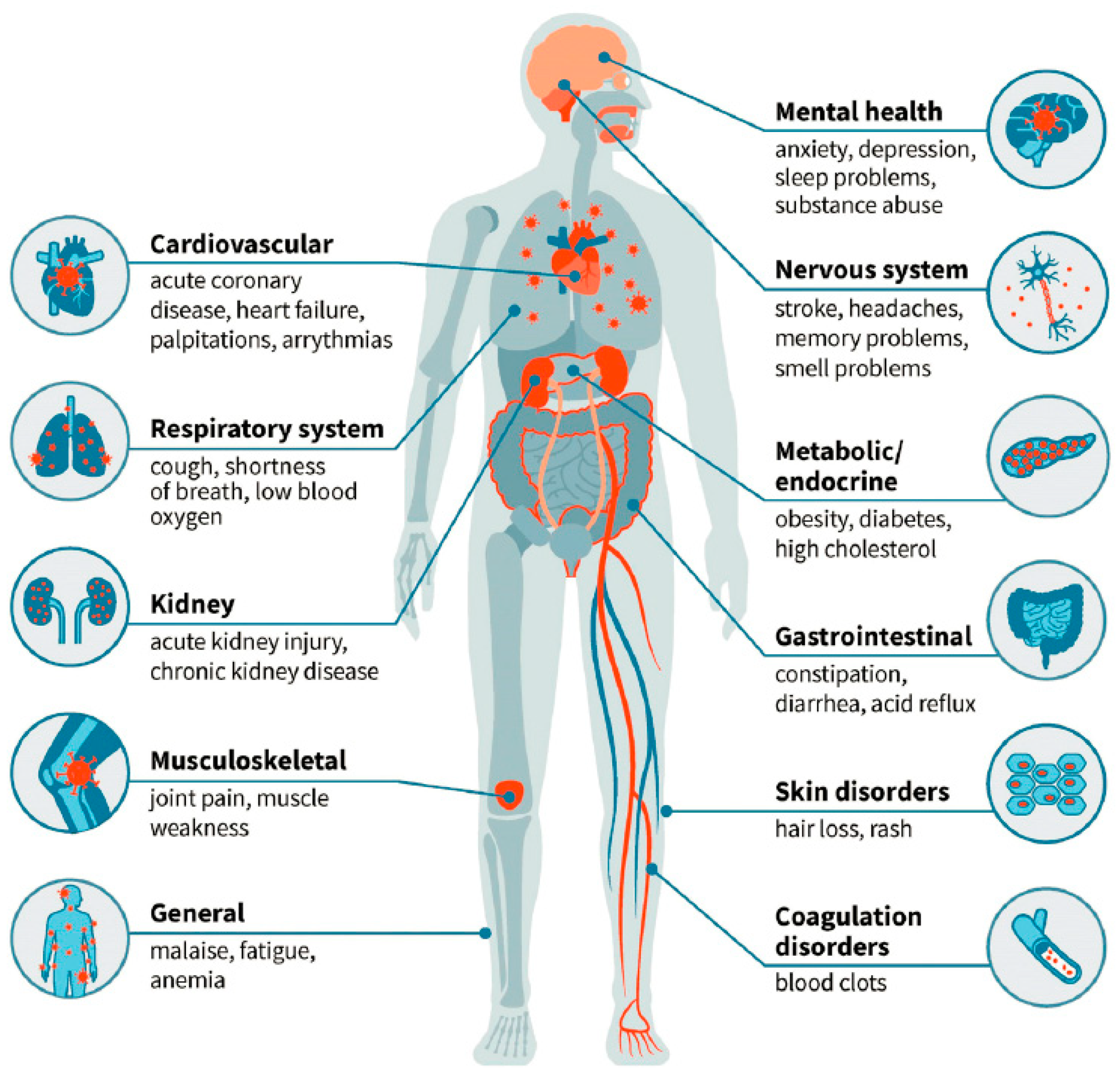 Preprints 181228 g002