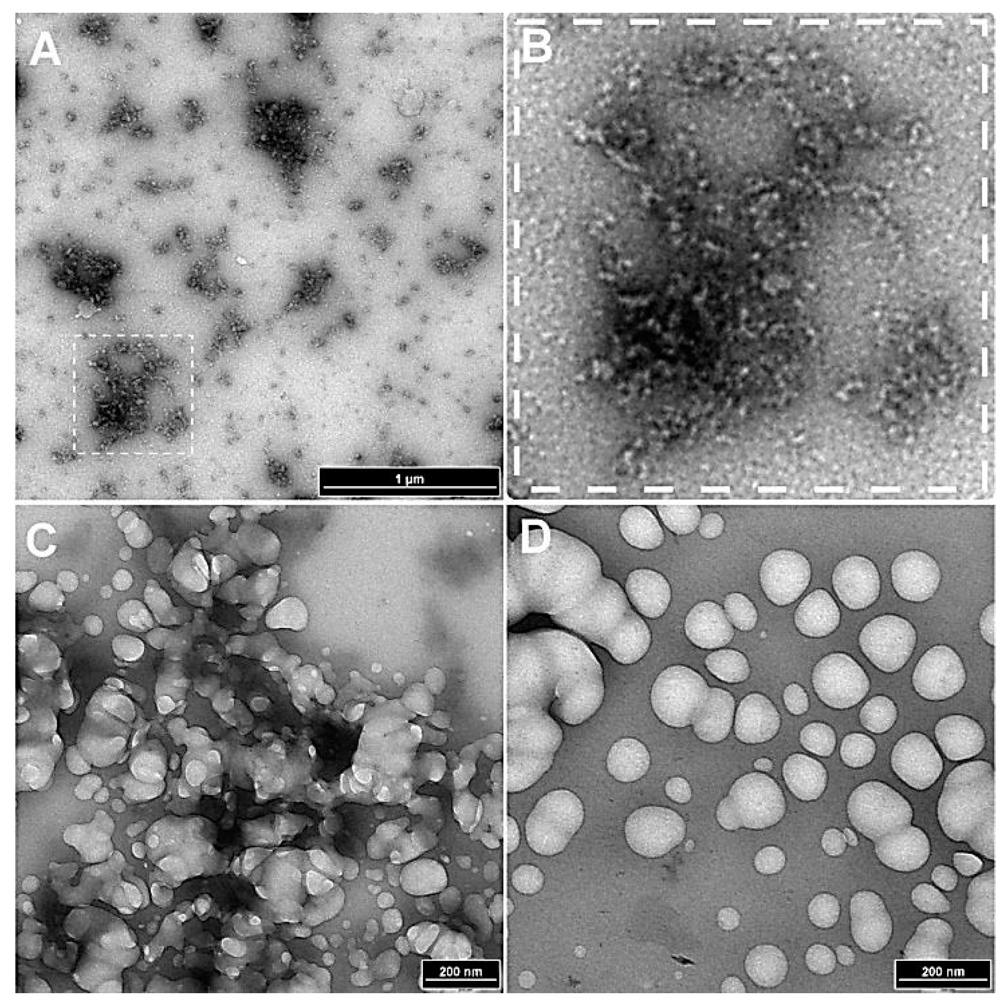 Preprints 142362 g003