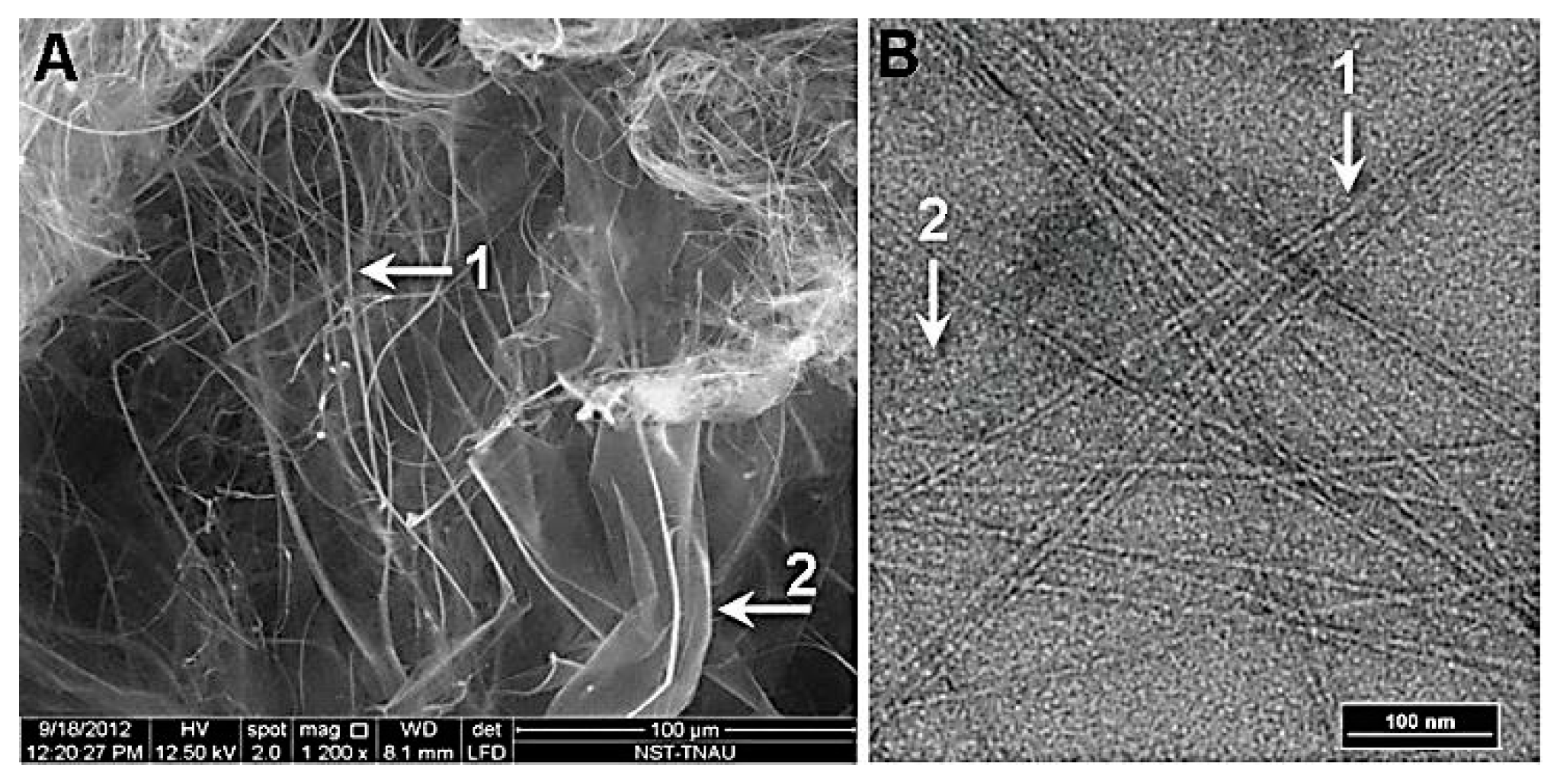Preprints 142362 g006