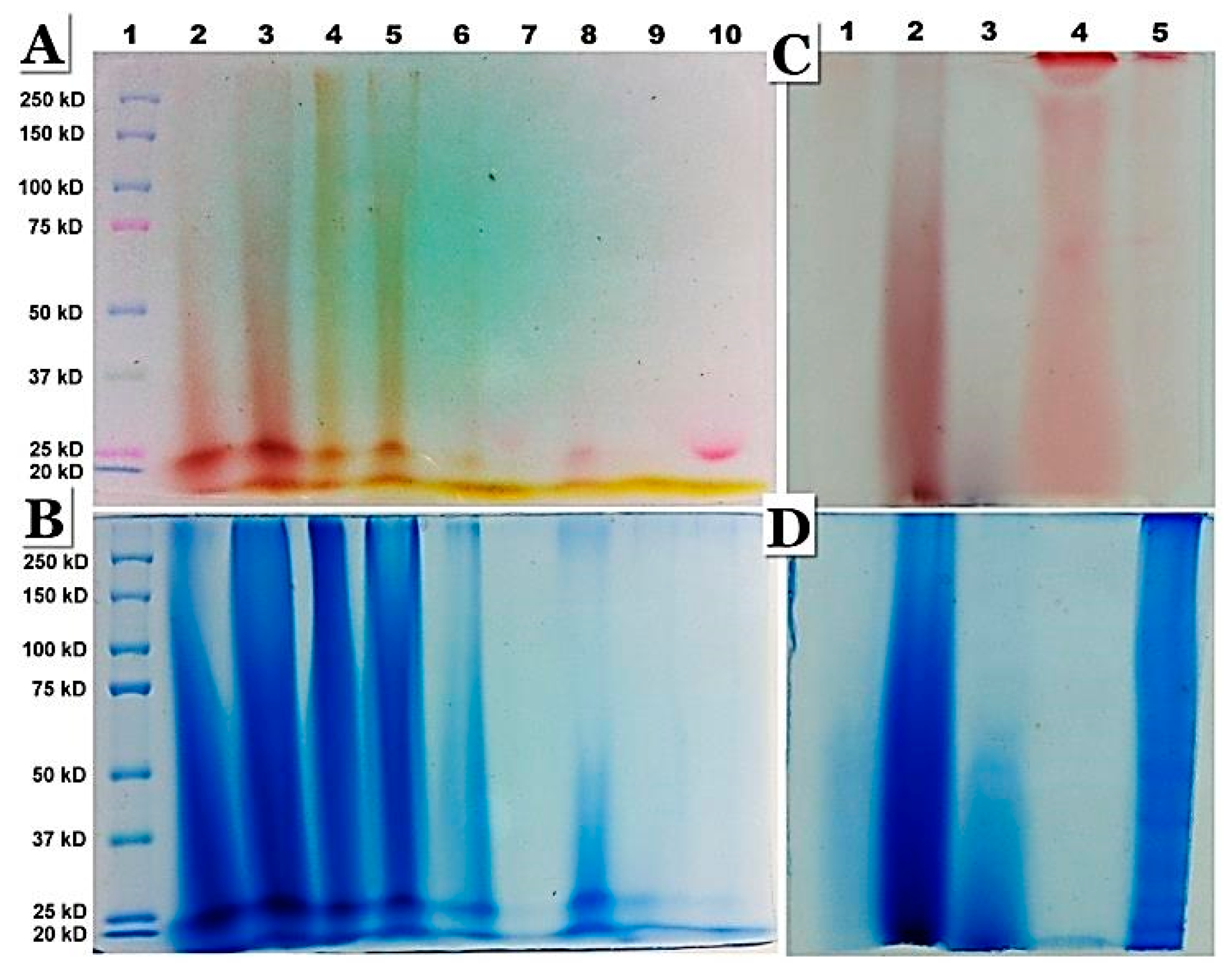 Preprints 142362 g007