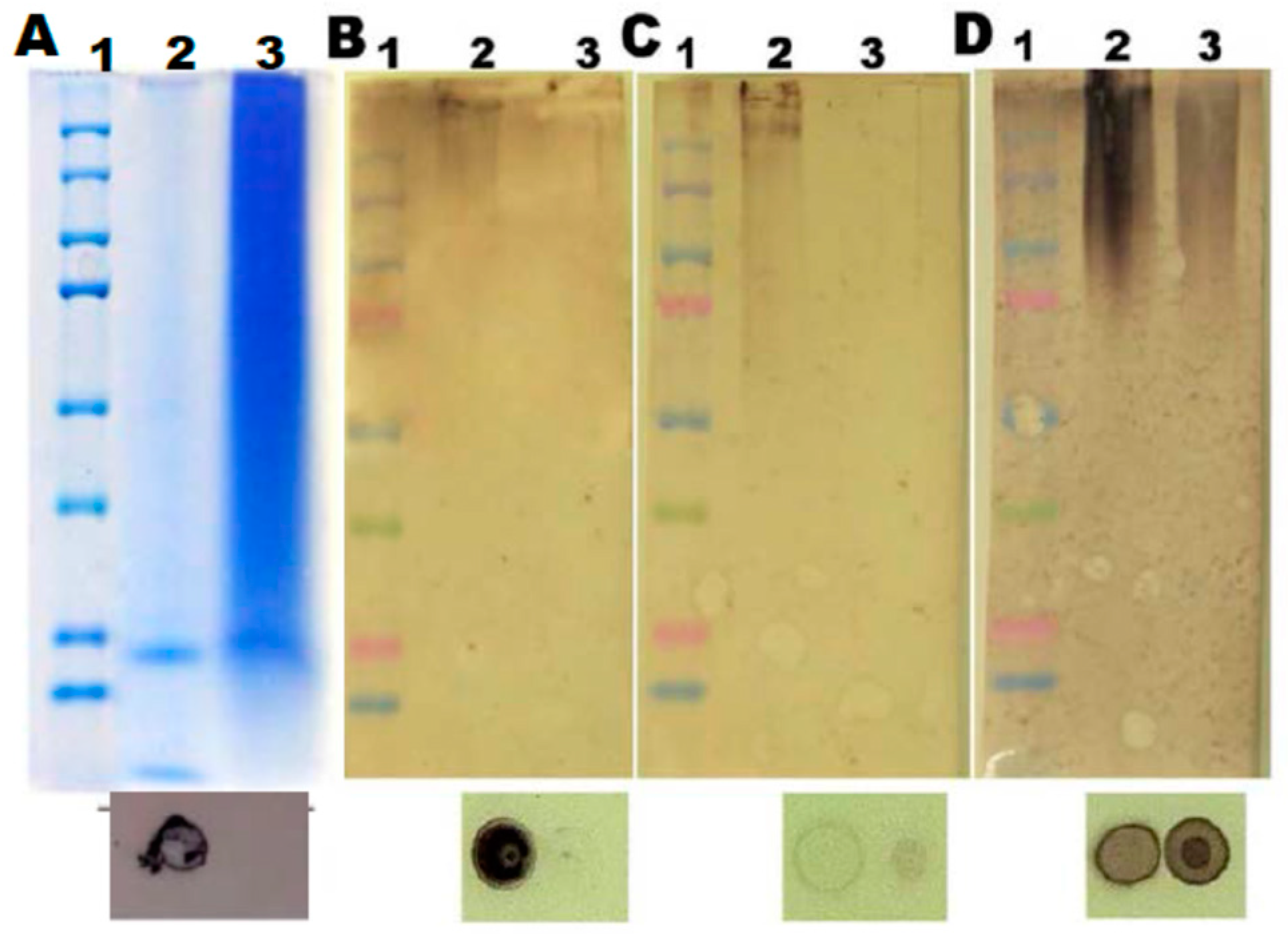 Preprints 142362 g008