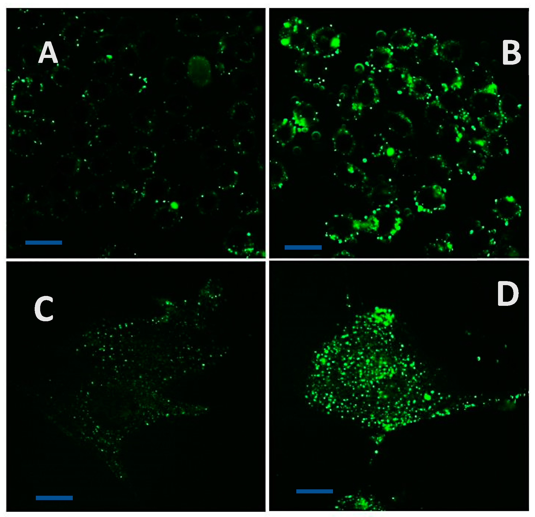 Preprints 142362 g010