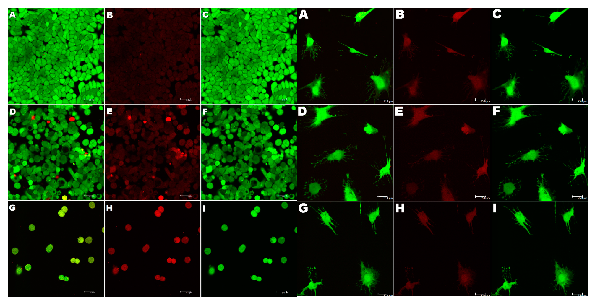 Preprints 142362 g011