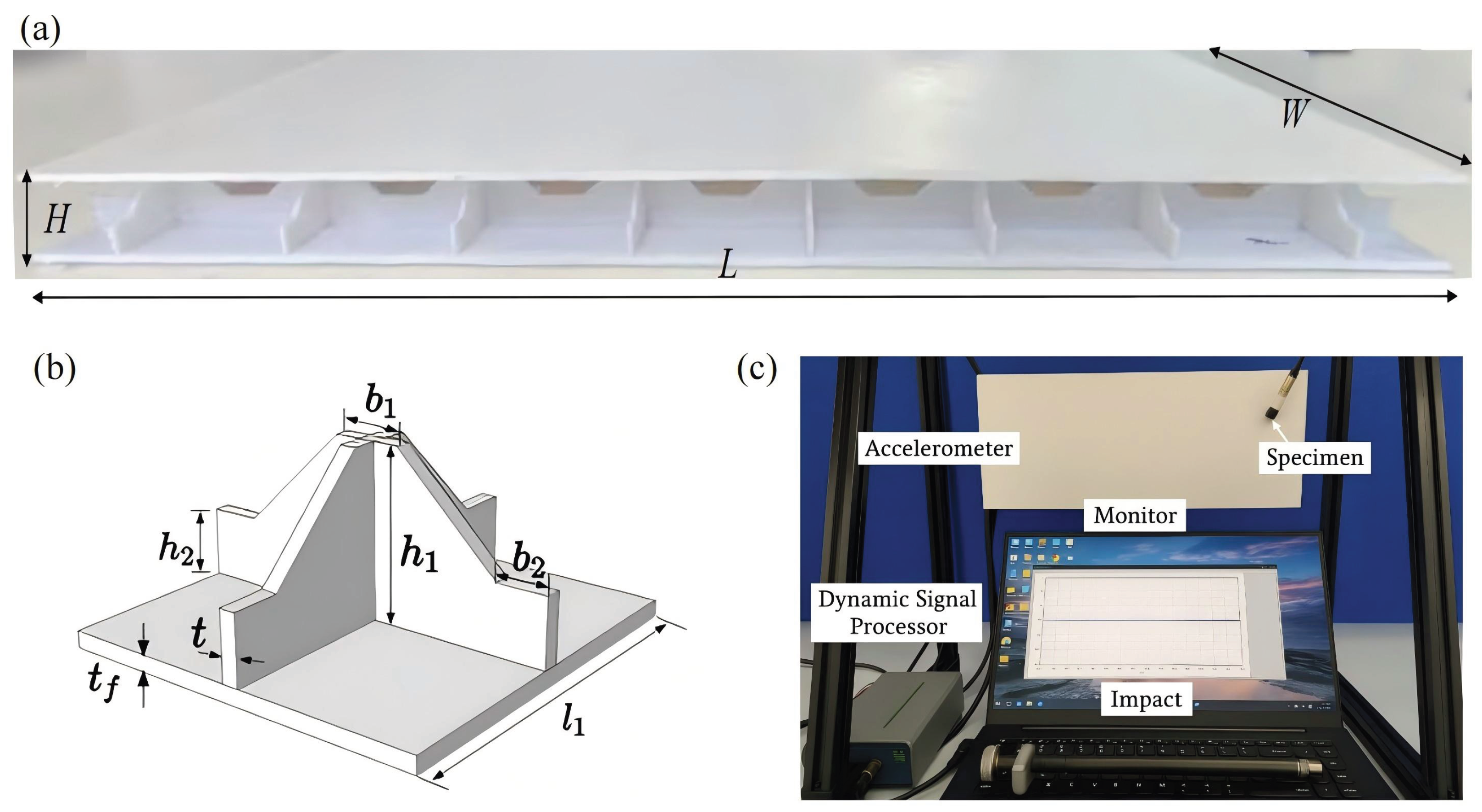 Preprints 169004 g004