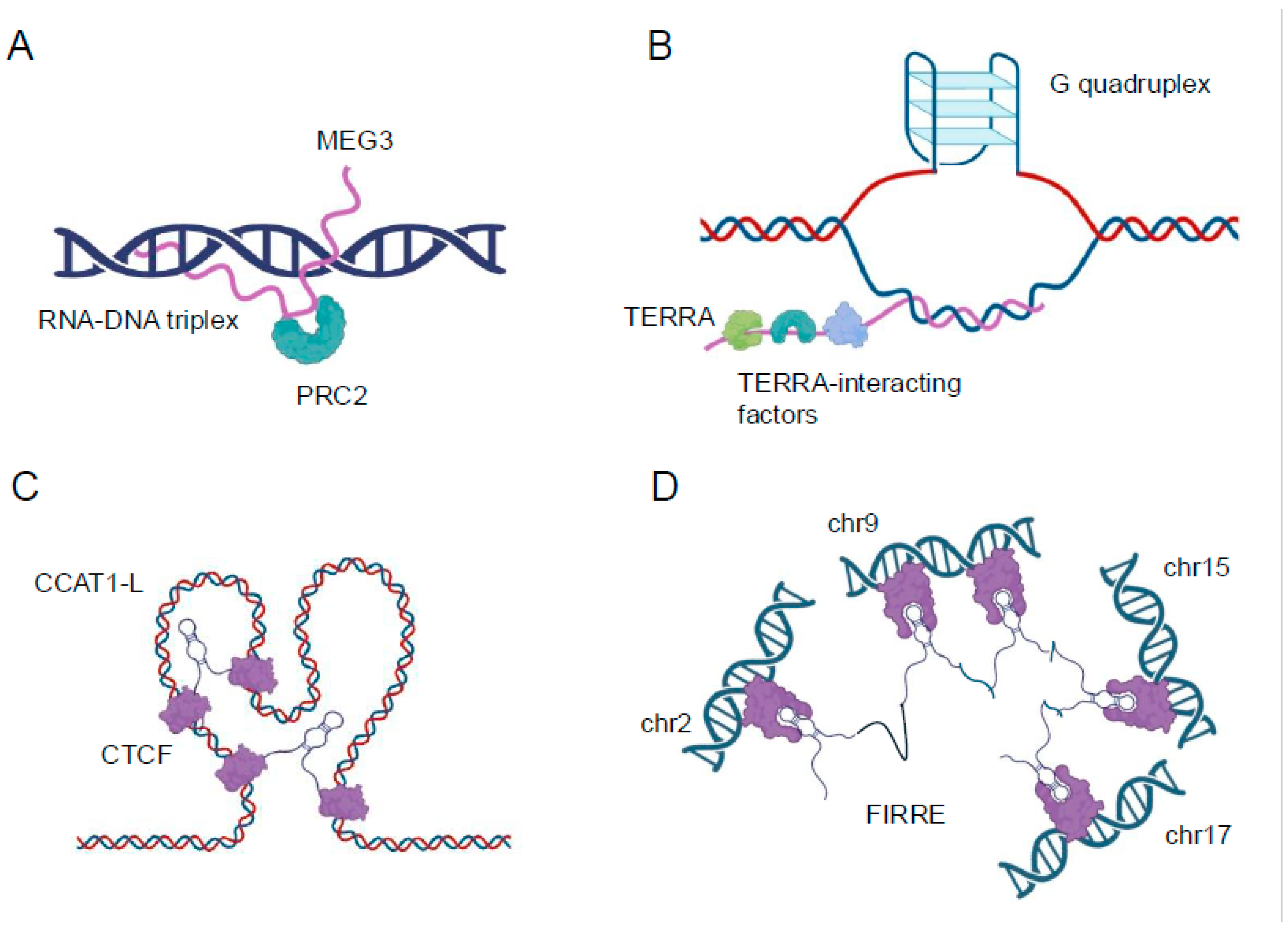 Preprints 154566 g001