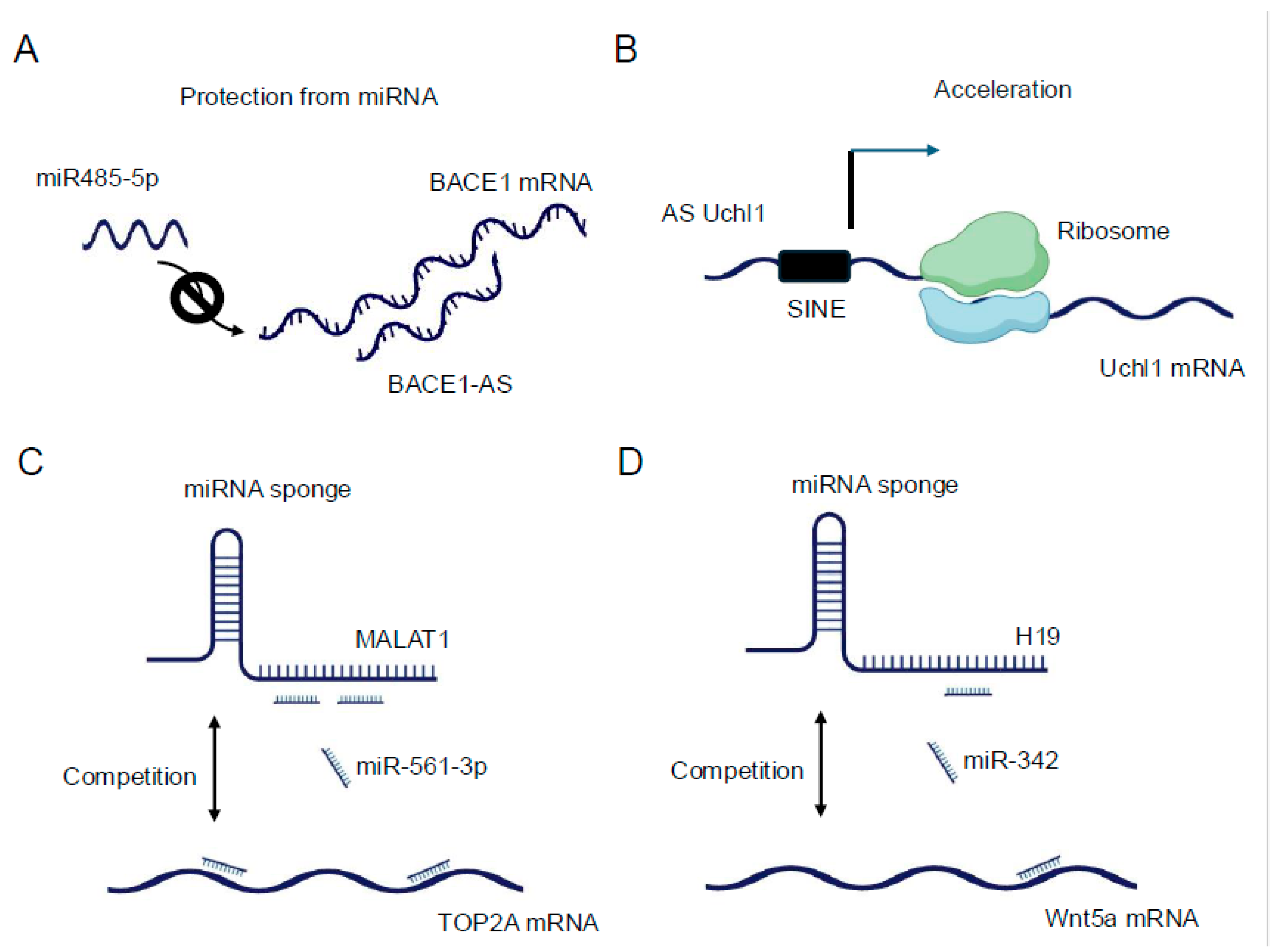 Preprints 154566 g002