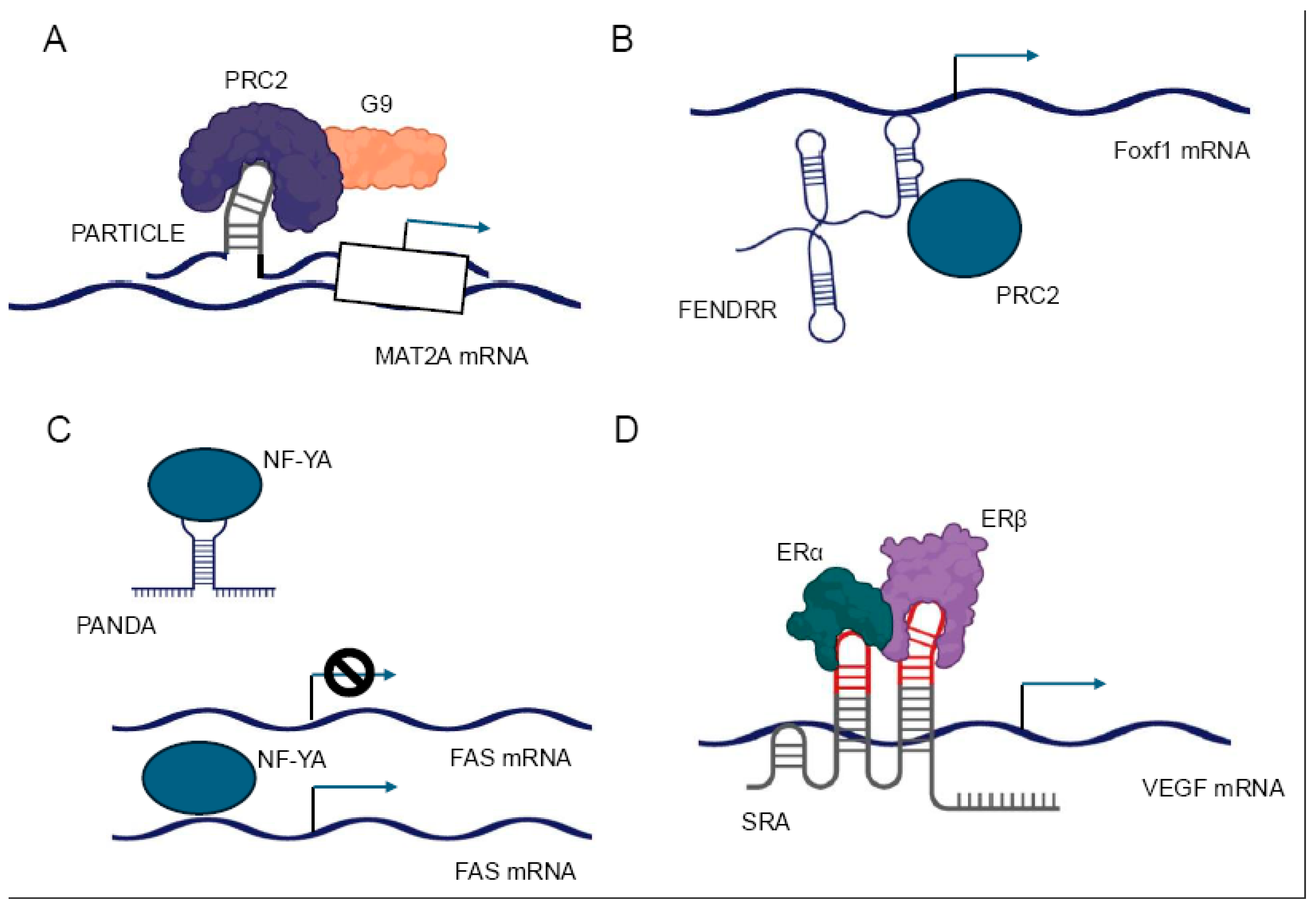 Preprints 154566 g003