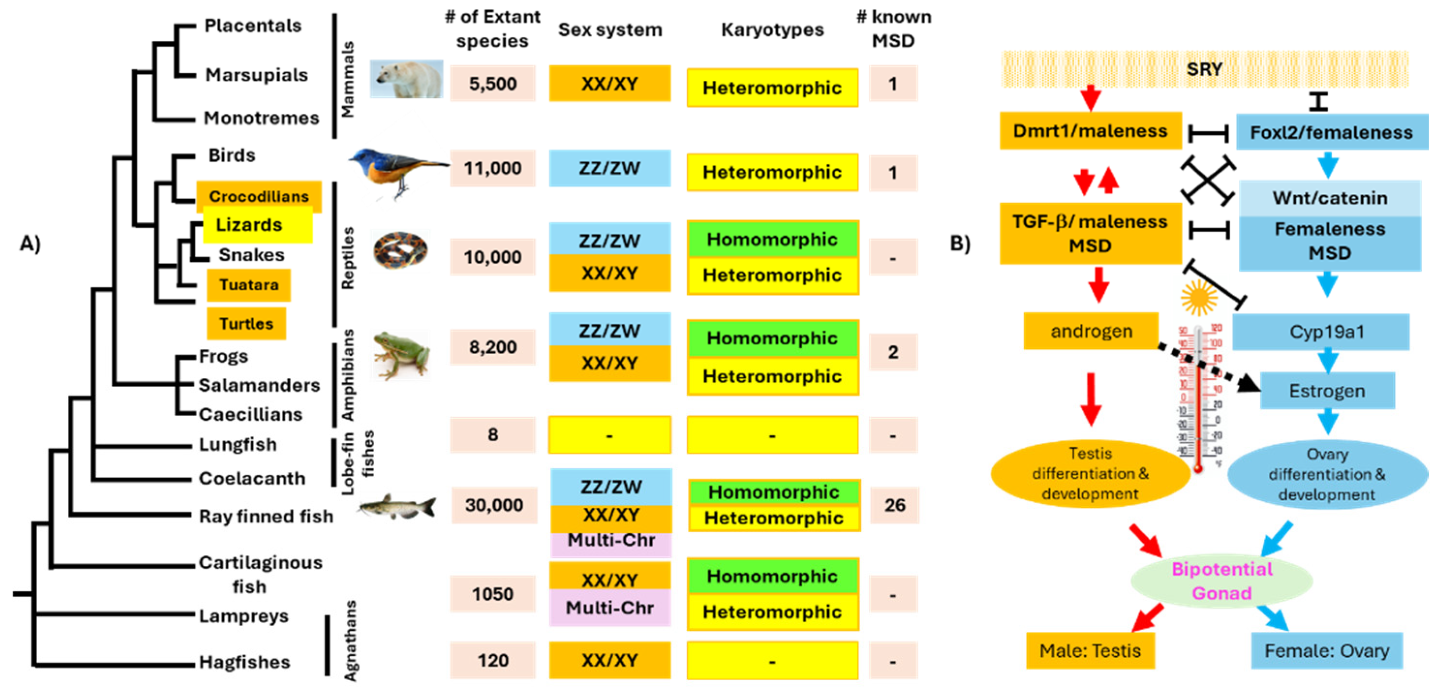 Preprints 152507 g001