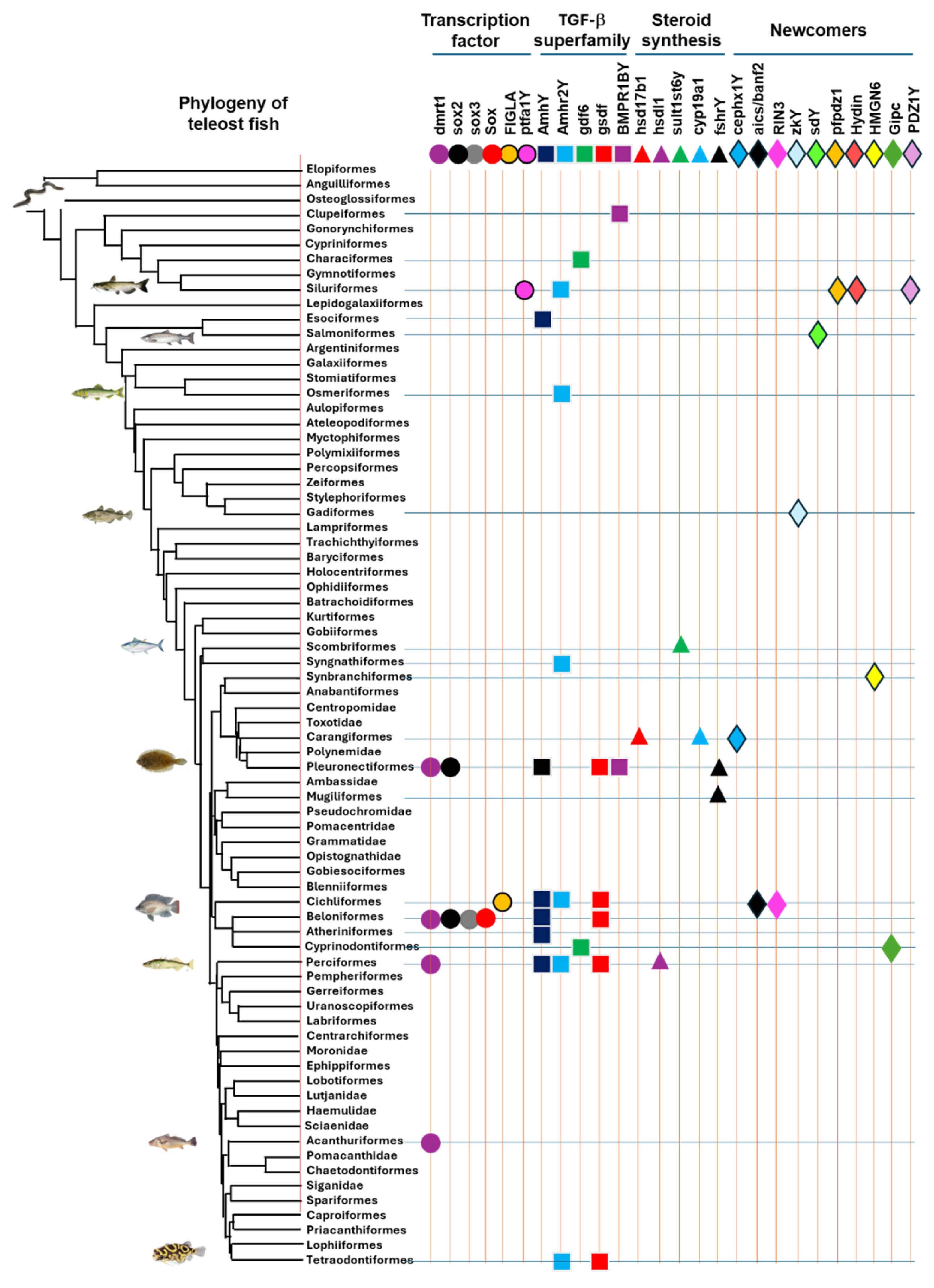 Preprints 152507 g003