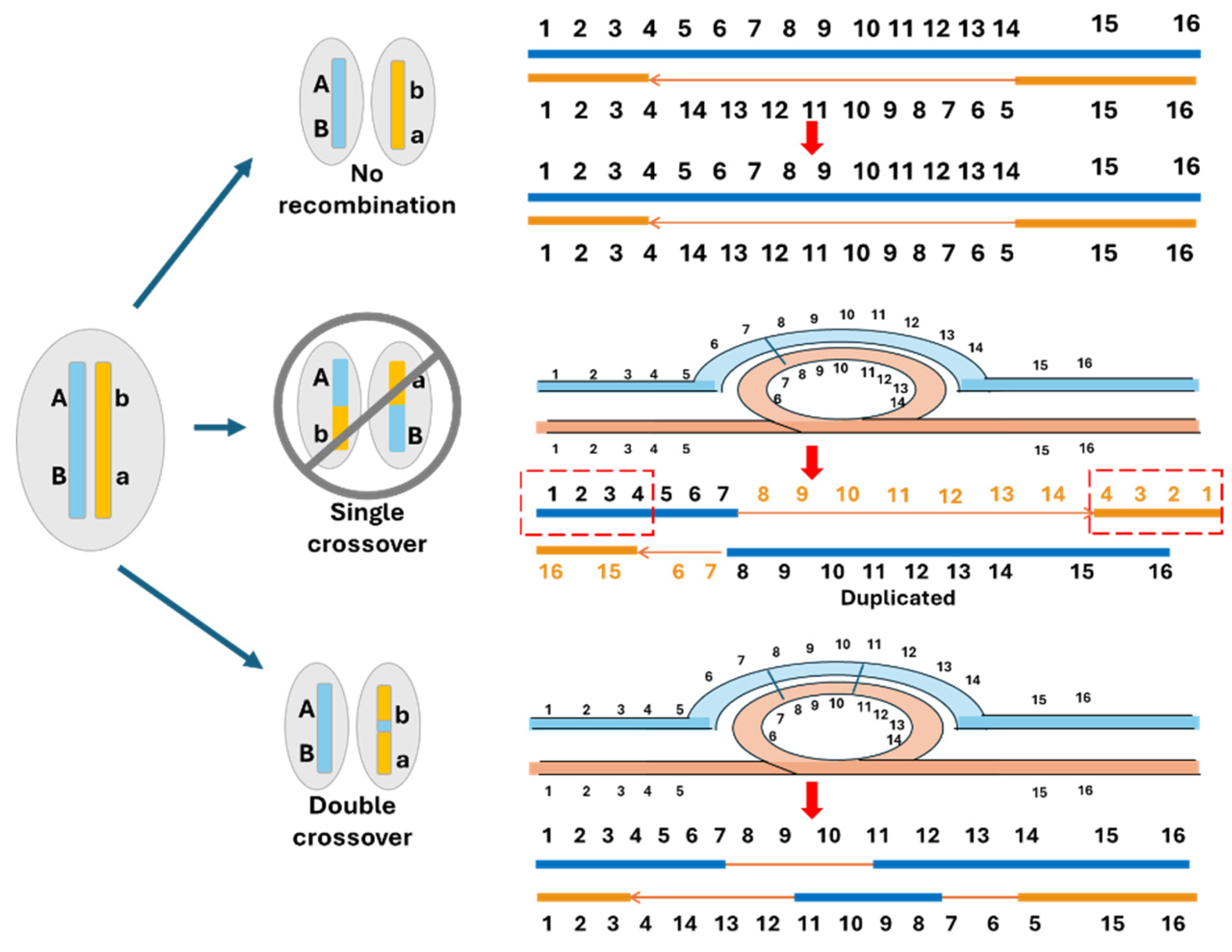 Preprints 152507 g004