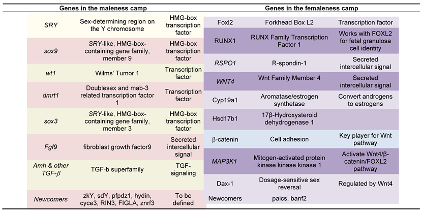 Preprints 152507 i001