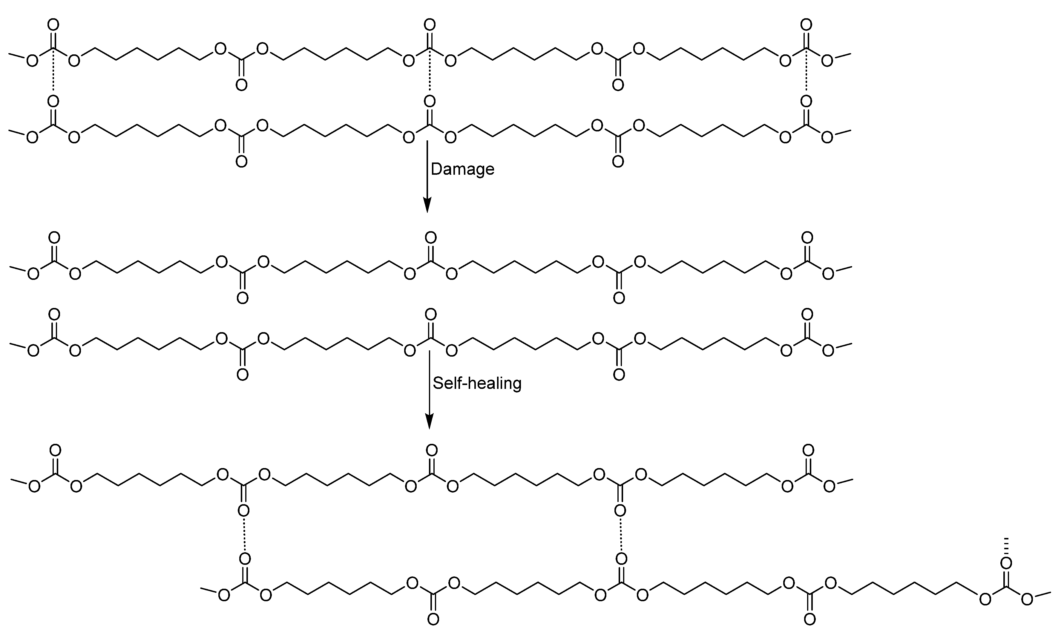 Preprints 99893 g019