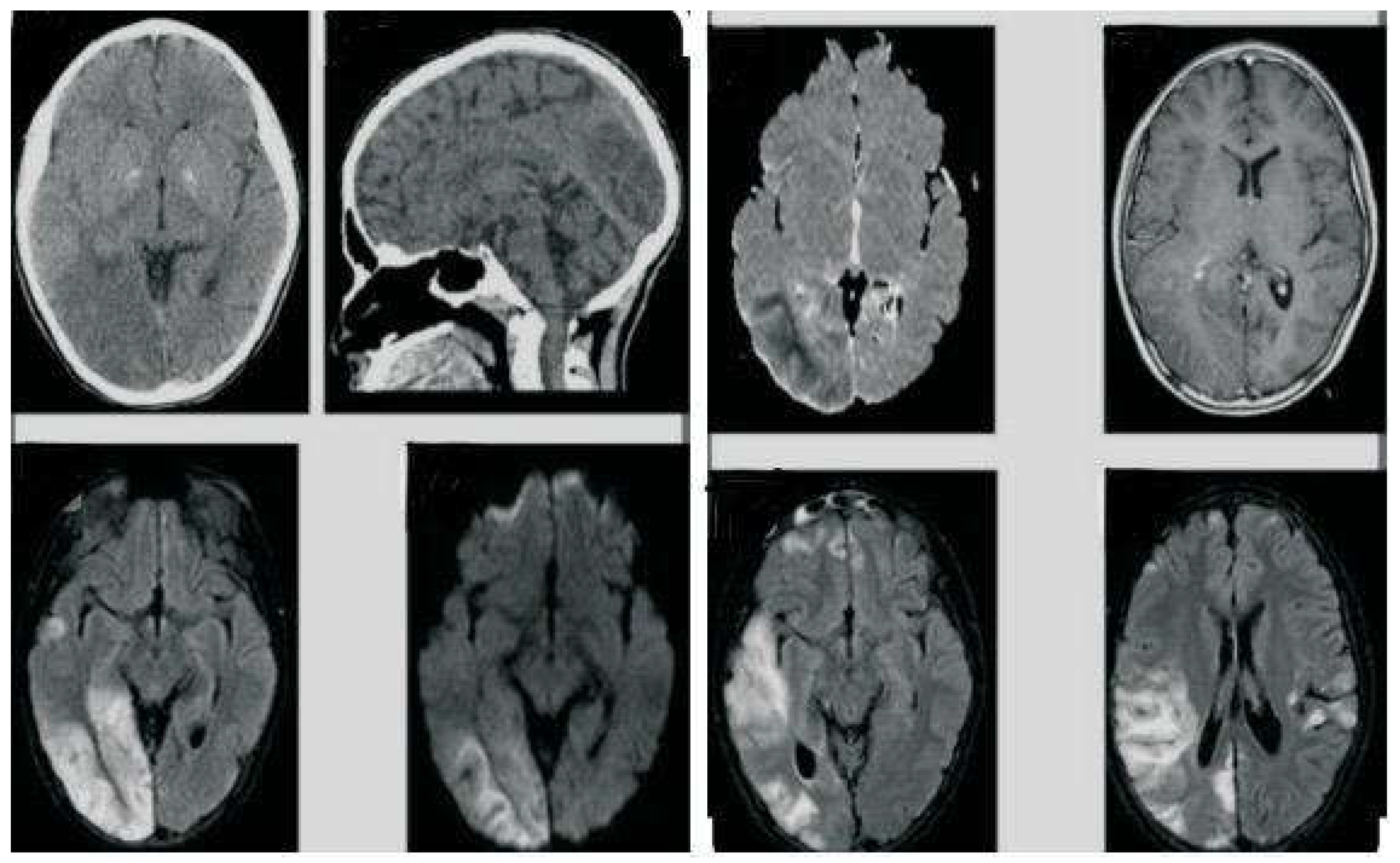 Preprints 104857 g001